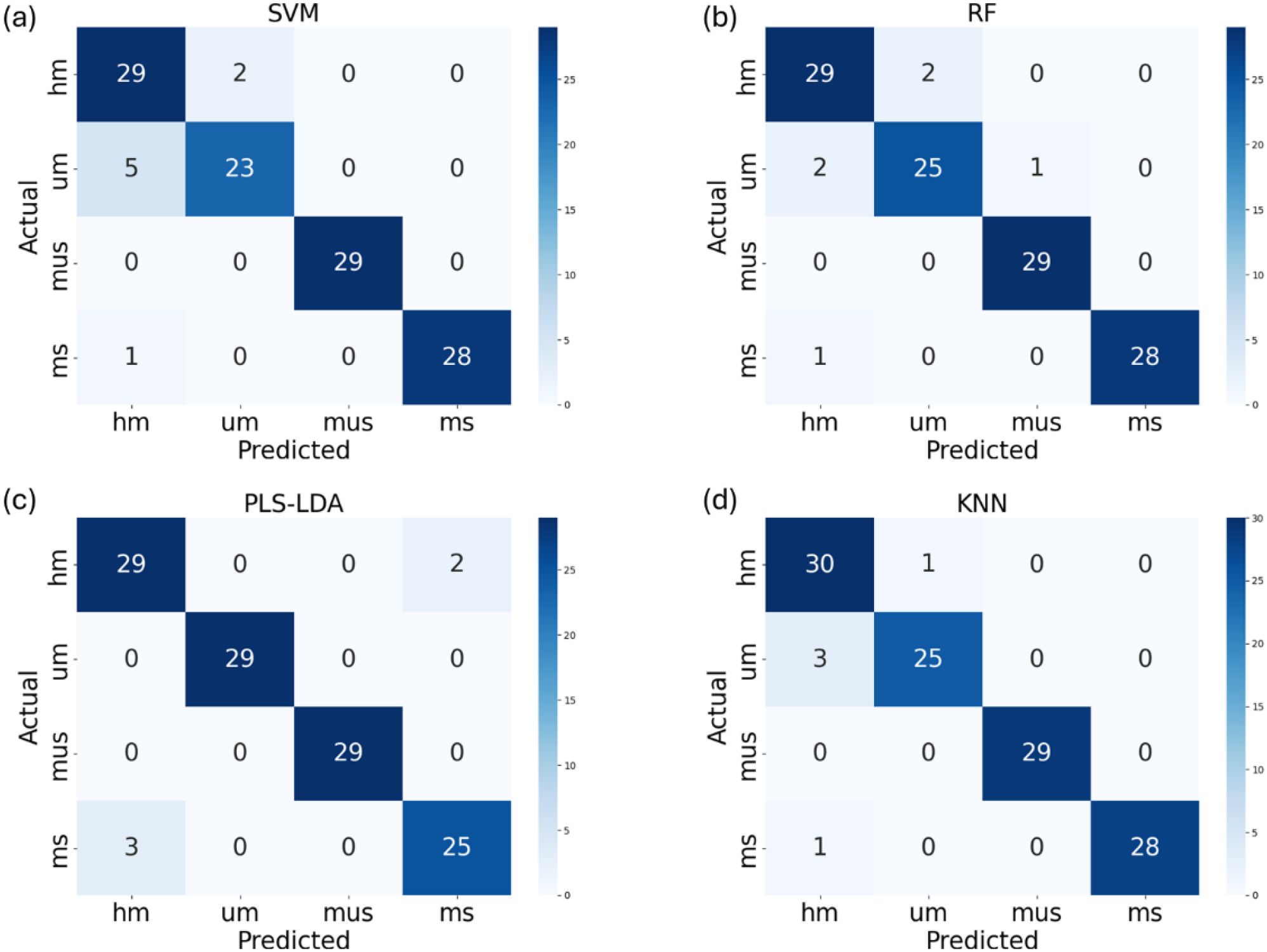 Four confusion matrices compare classification performance in four models: (a) SVM, (b) RF, (c) PLS-LDA, and (d) KNN. Each matrix shows predicted versus actual classifications for four categories: hm, um, mus, and ms. Darker blue squares indicate higher values, showing varying levels of correct and incorrect predictions across models.