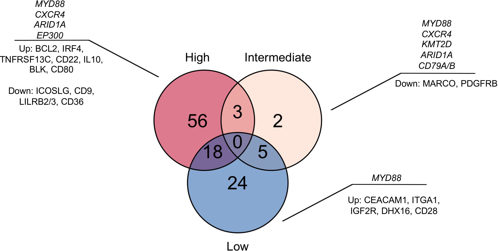 Venn diagram with three overlapping circles labeled High, Intermediate, and Low. The High circle contains 56 genes, Intermediate 2 genes, and Low 24 genes. Overlaps show 3 (High/Intermediate), 5 (Intermediate/Low), 18 (High/Low), and none for all three. Genes listed include MYD88, CXCR4, ARID1A, EP300, and others, with categories up and down for each condition.