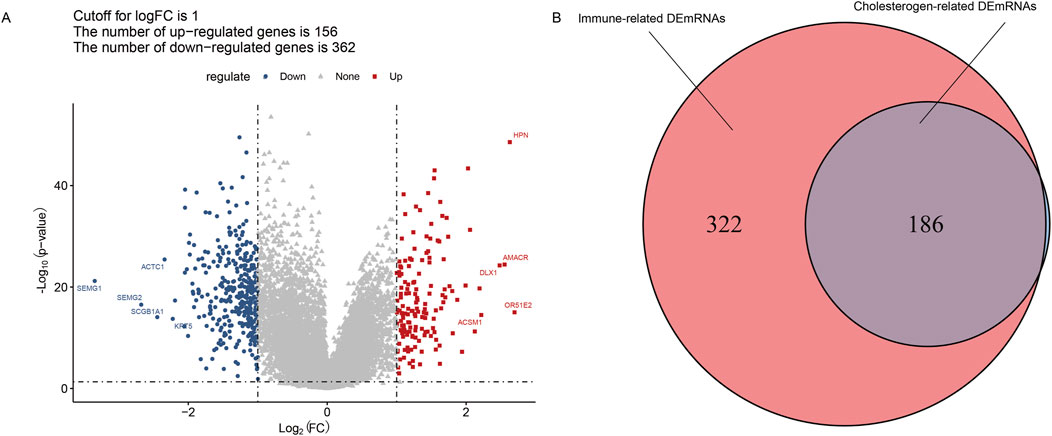 A composite image with two panels. Panel A shows a volcano plot with log2 fold change on the x-axis and negative log10 p-value on the y-axis. Up-regulated genes (red squares) and down-regulated genes (blue dots) are highlighted, with a cutoff of 1 for logFC. The number of up-regulated genes is 156, and down-regulated genes is 362. Panel B is a Venn diagram displaying the overlap between immune-related and cholesterogen-related DEmRNAs, with 186 intersecting.