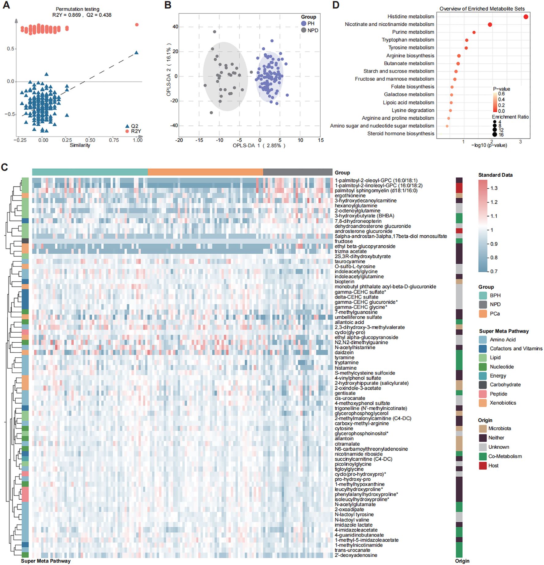 Bar chart (A) shows metabolite regulation differences between prostate cancer (PCa) and benign prostatic hyperplasia (BPH) across various pathways. Venn diagram (B) highlights differential metabolites between PH vs. NPD and PCa vs. BPH. Dot plots (C and D) present enriched metabolic sets; C for upregulated and D for downregulated sets, indicating significance levels and enrichment ratios. Heat map identifies specific metabolites and their associations with pathways and groups.