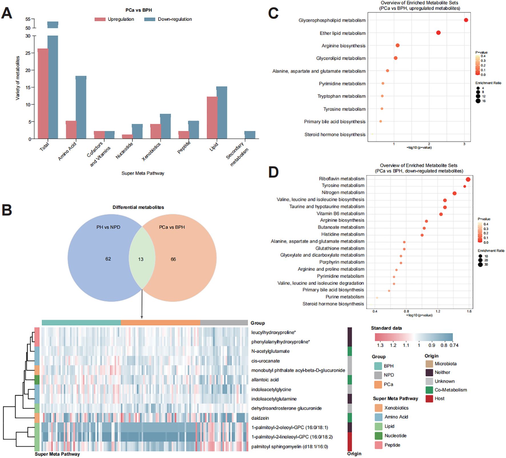 Four-panel image showing data analysis. Panel A: Scatter plot with permutation testing, marking similarity and R² values. Panel B: OPLS-DA plot with two groups, circles and triangles indicating data points. Panel C: Heatmap with hierarchical clustering, illustrating metabolite expression levels across groups. Panel D: Bubble chart of enriched metabolite sets, indicating significance by p-value and enrichment ratio, listing different metabolic pathways.