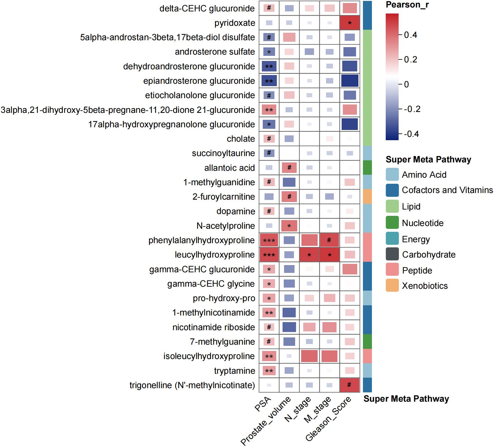 Heatmap showing the Pearson correlation coefficients between various metabolites and clinical markers, including PSA, prostate volume, N stage, M stage, and Gleason score. Metabolites are listed on the left with pathways indicated by color bars: amino acids, cofactors, lipids, nucleotides, energy, carbohydrates, peptides, and xenobiotics. The color scale ranges from blue for negative correlations to red for positive correlations with significance noted by symbols.