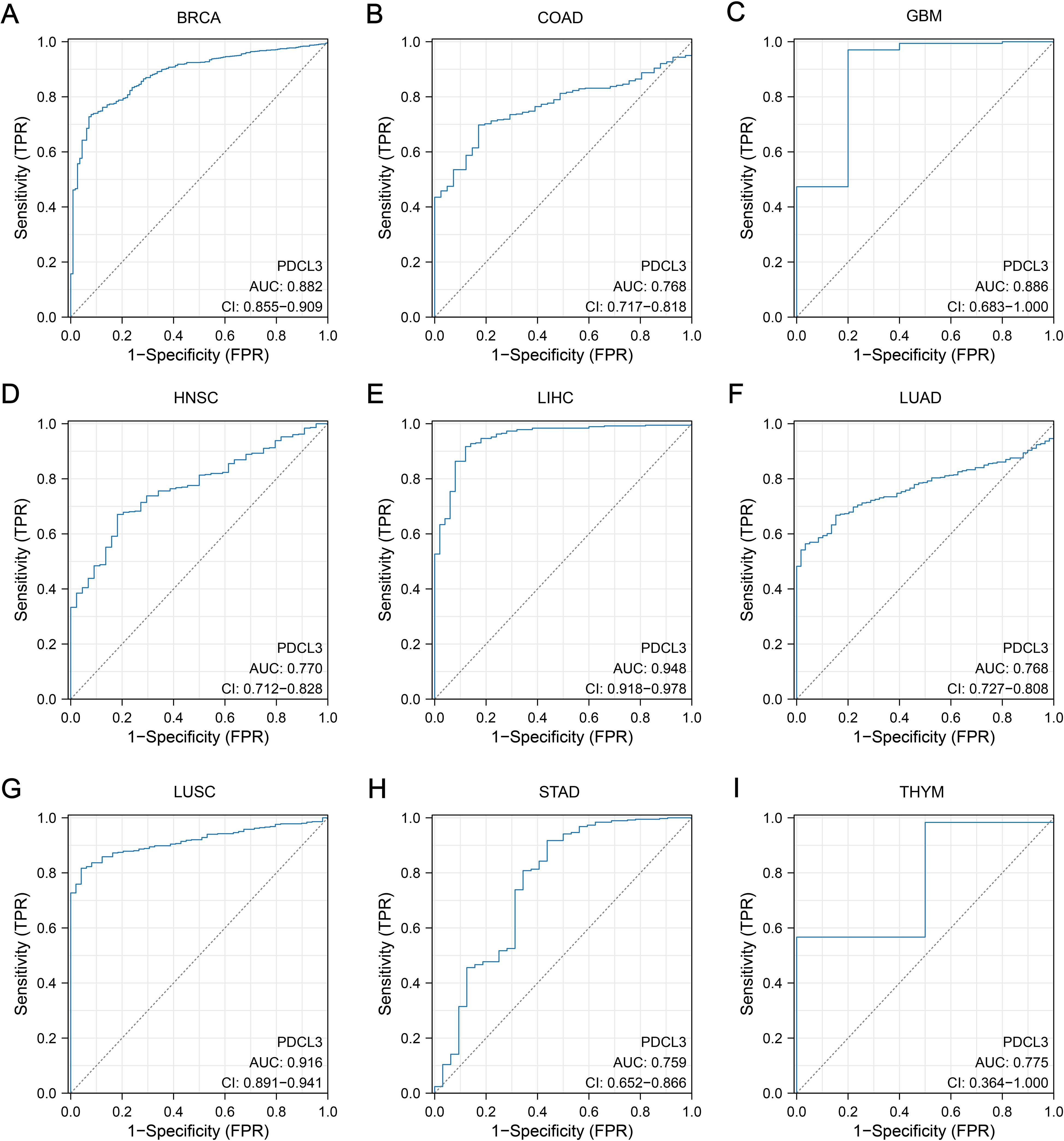 Nine ROC curves display the performance of the PDCL3 biomarker for different cancers. Each chart plots sensitivity (TPR) against one minus specificity (FPR). The cancers are BRCA, COAD, GBM, HNSC, LIHC, LUAD, LUSC, STAD, and THYM. The area under the curve (AUC) and confidence intervals (CI) are given for each plot, indicating model accuracy. A higher AUC signifies better performance, with LIHC having the highest AUC of 0.948 and STAD the lowest at 0.759.