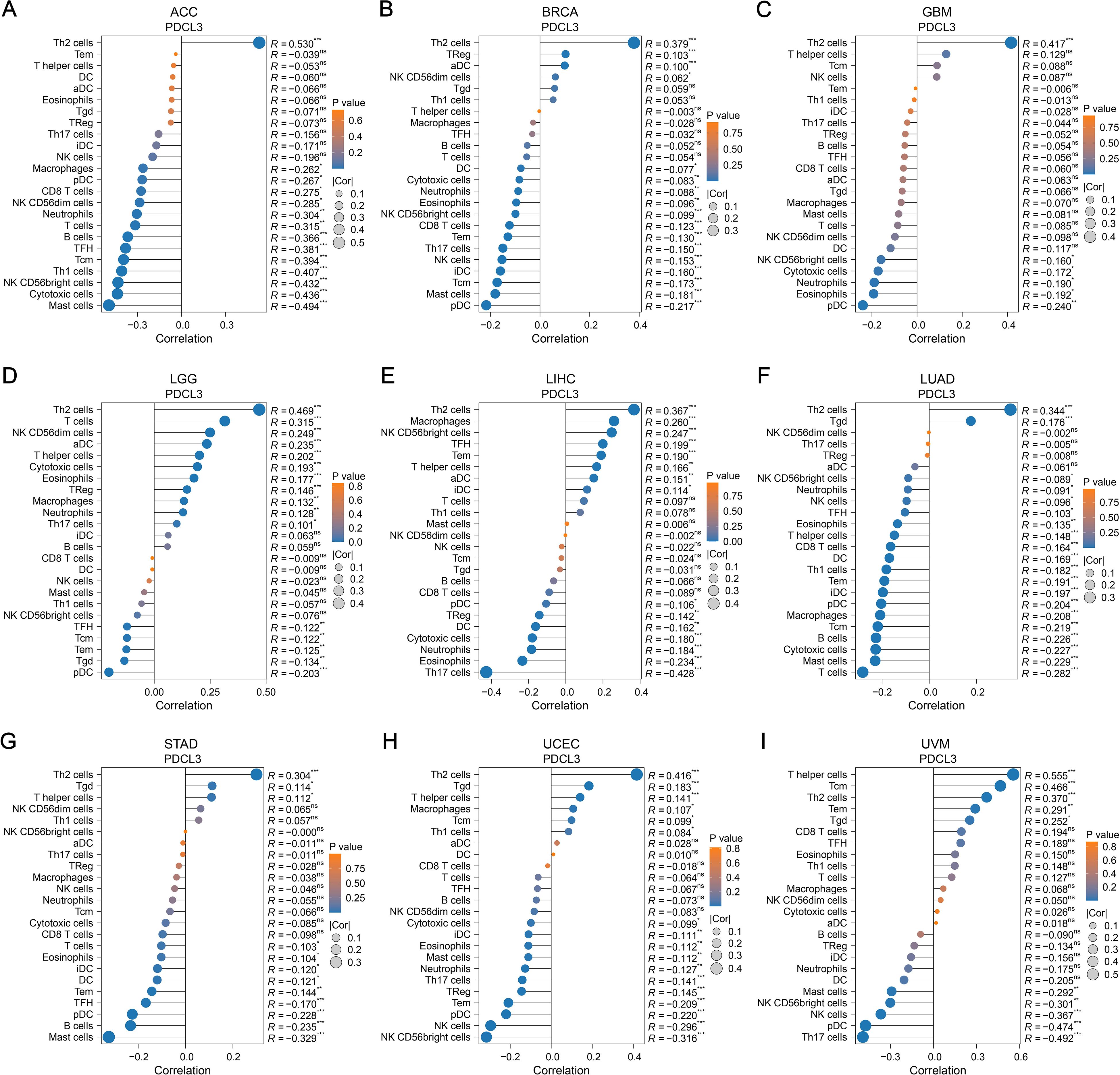 Nine scatter plots labeled A to I display the correlation between PDCL3 expression and various immune cell types across different cancer types: ACC, BRCA, GBM, LGG, LIHC, LUAD, STAD, UCEC, and UVM. Each plot shows correlation coefficients (R) on the x-axis, with immune cell types listed on the y-axis. Data points vary in size according to significance levels, with a color scale indicating p-values from blue (more significant) to orange (less significant). Plots illustrate different correlation strengths, with Th2 cells, T helper cells, and NK CD56dim cells frequently highlighted.