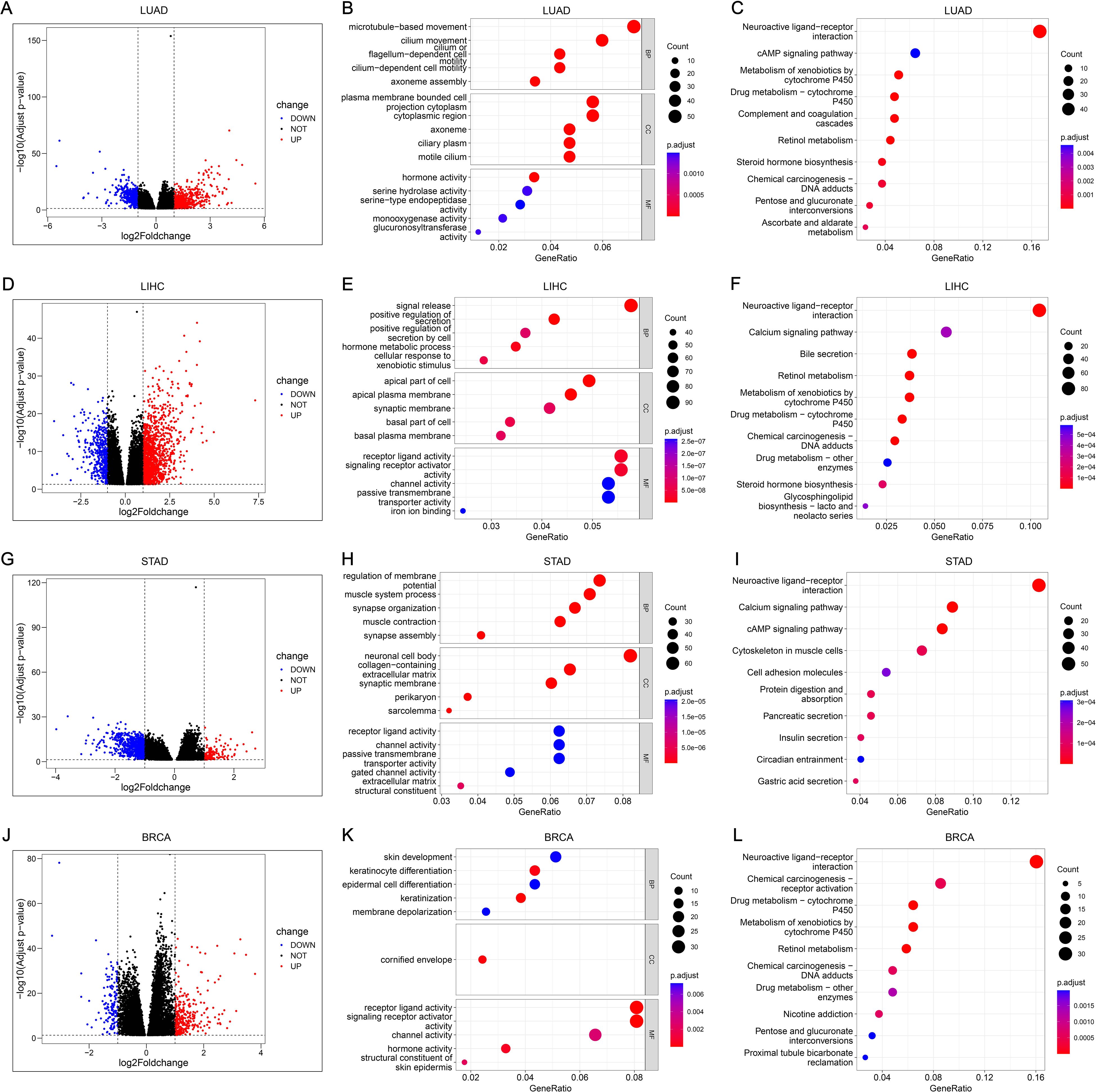 Grouped images display data visualizations for LUAD, LIHC, STAD, and BRCA analyses. Each disease panel contains a volcano plot showing log2 fold changes and p-values, and dot plots depicting gene ontology and pathway enrichment. Different colored dots on dot plots represent counts with varying sizes and color gradients for significance levels. Diagrams highlight key pathways and biological processes associated with each disease type.