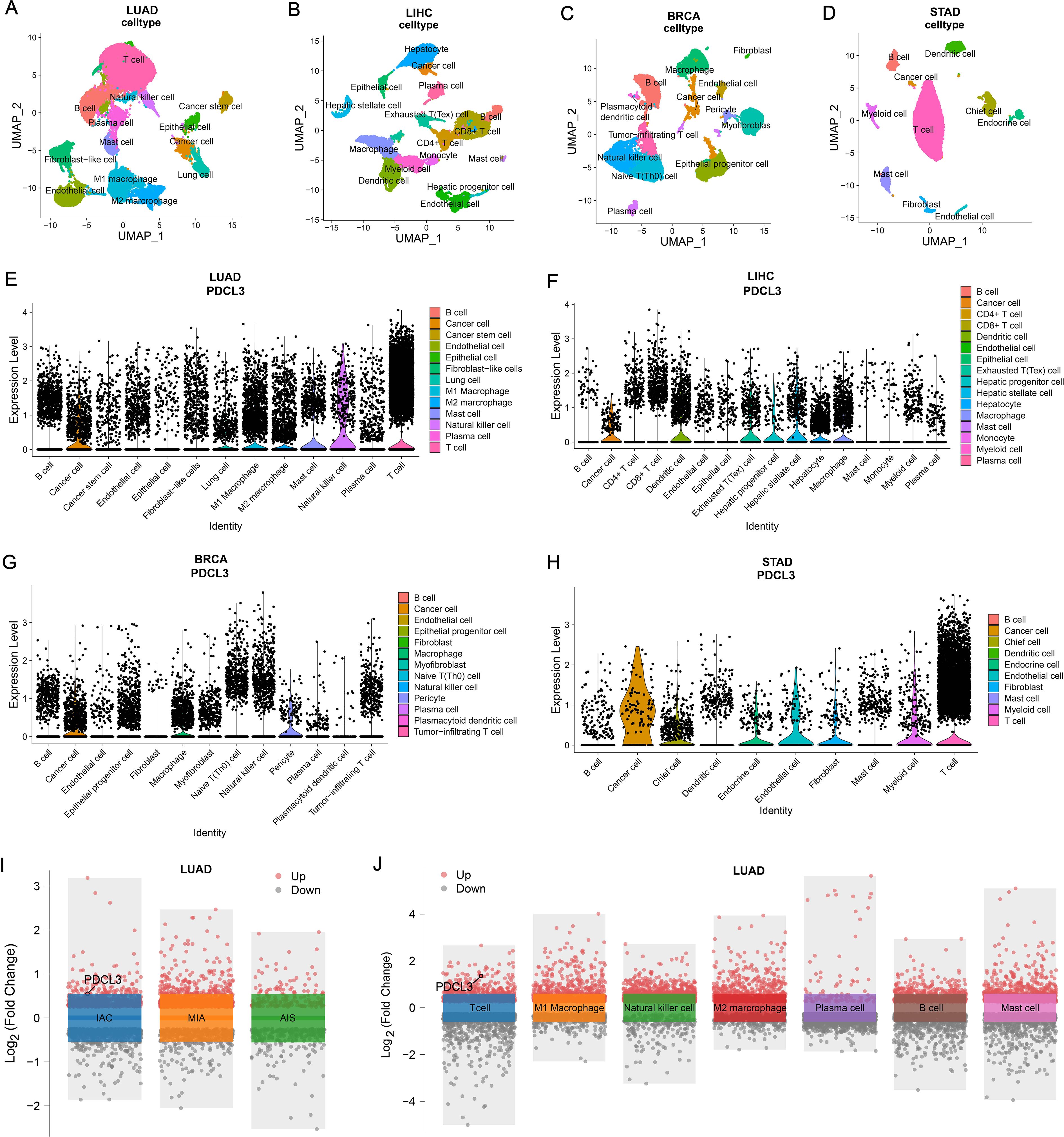 Graphs depict various analyses of cell types and expression levels across different conditions. Panels A-D show UMAP plots for LUAD, LIHC, BRCA, and STAD cell types labeled with different colors. Panels E-H display expression levels of PDCL3 across cell identities with violin plots for the same conditions. Panels I and J present log fold changes for LUAD, highlighting upregulated and downregulated genes in different contexts.
