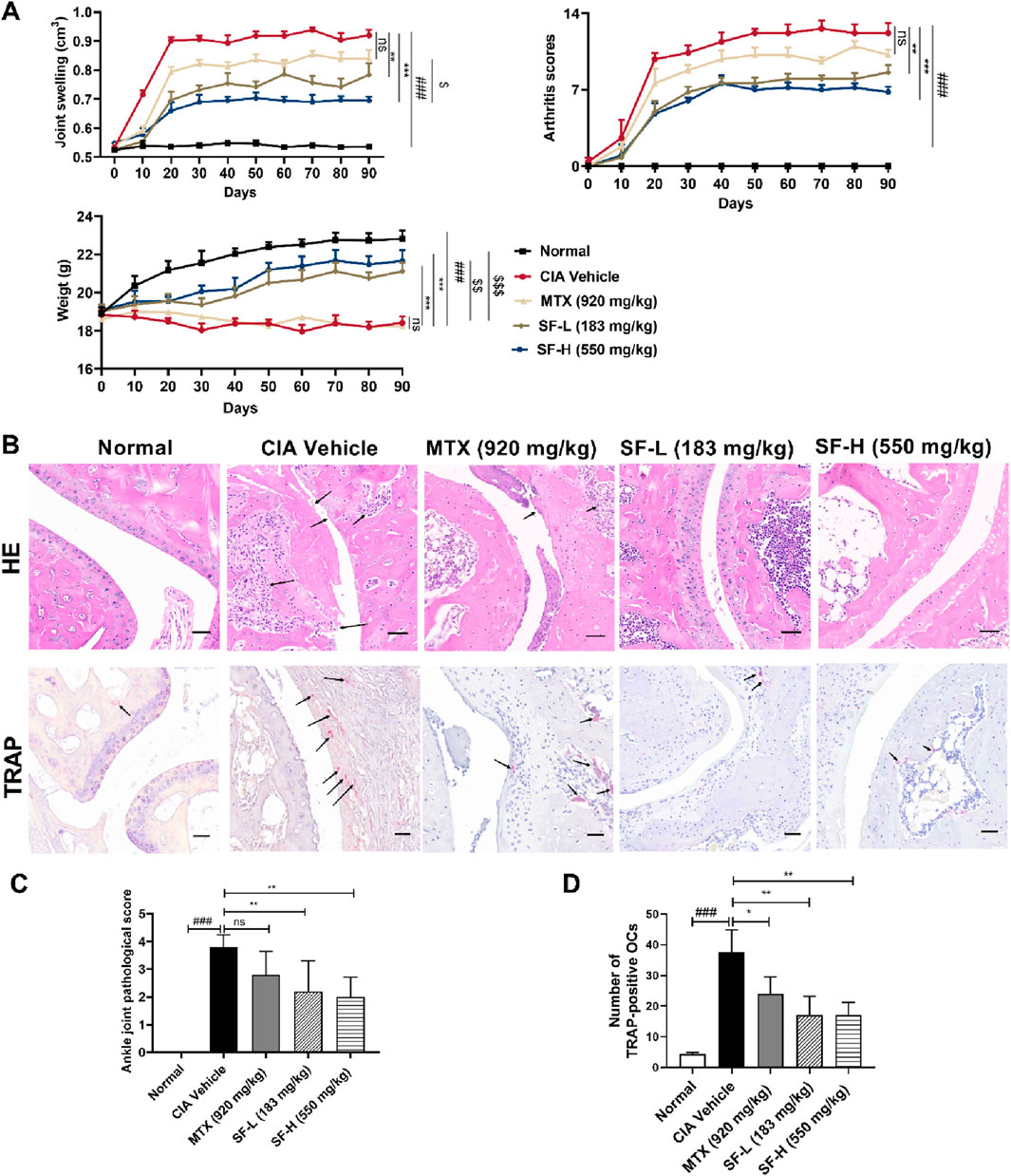 Graphs and images depict the effects of different treatments on arthritis. Part A shows line graphs for joint swelling, arthritis scores, and weight over time for various treatments. Part B contains histological images labeled HE and TRAP, indicating cellular and tissue differences under different conditions. Parts C and D are bar graphs comparing ankle joint pathological scores and the number of TRAP-positive osteoclasts among normal, CIA vehicle, MTX, SF-L, and SF-H treatments, highlighting significant differences.