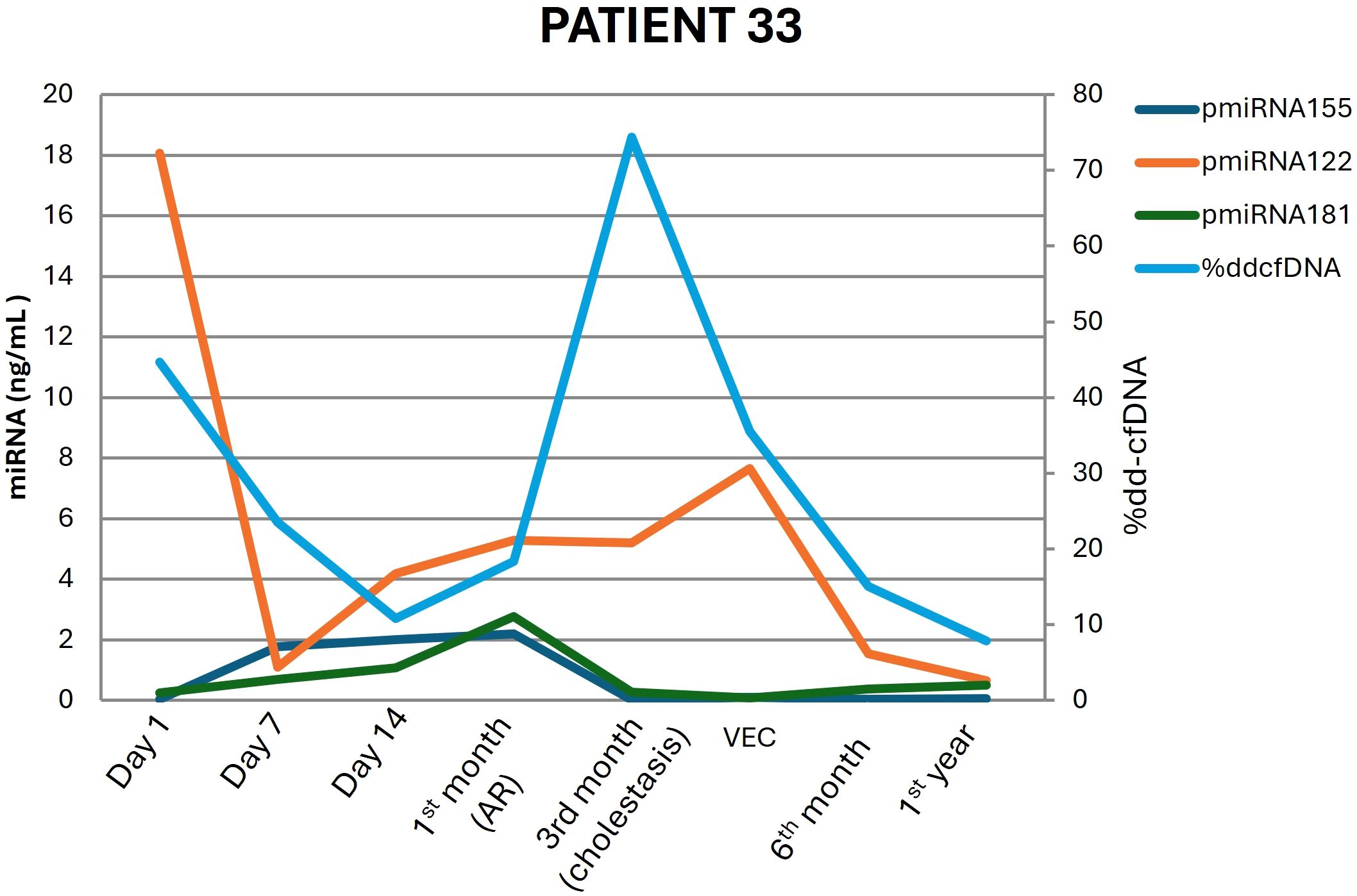 Line graph for Patient 33 showing levels of miRNA and %ddcfDNA over time. pmiRNA122 and %ddcfDNA spike at Day 1, then decline, with %ddcfDNA peaking again at 1st month. pmiRNA155 and pmiRNA181 remain low throughout.