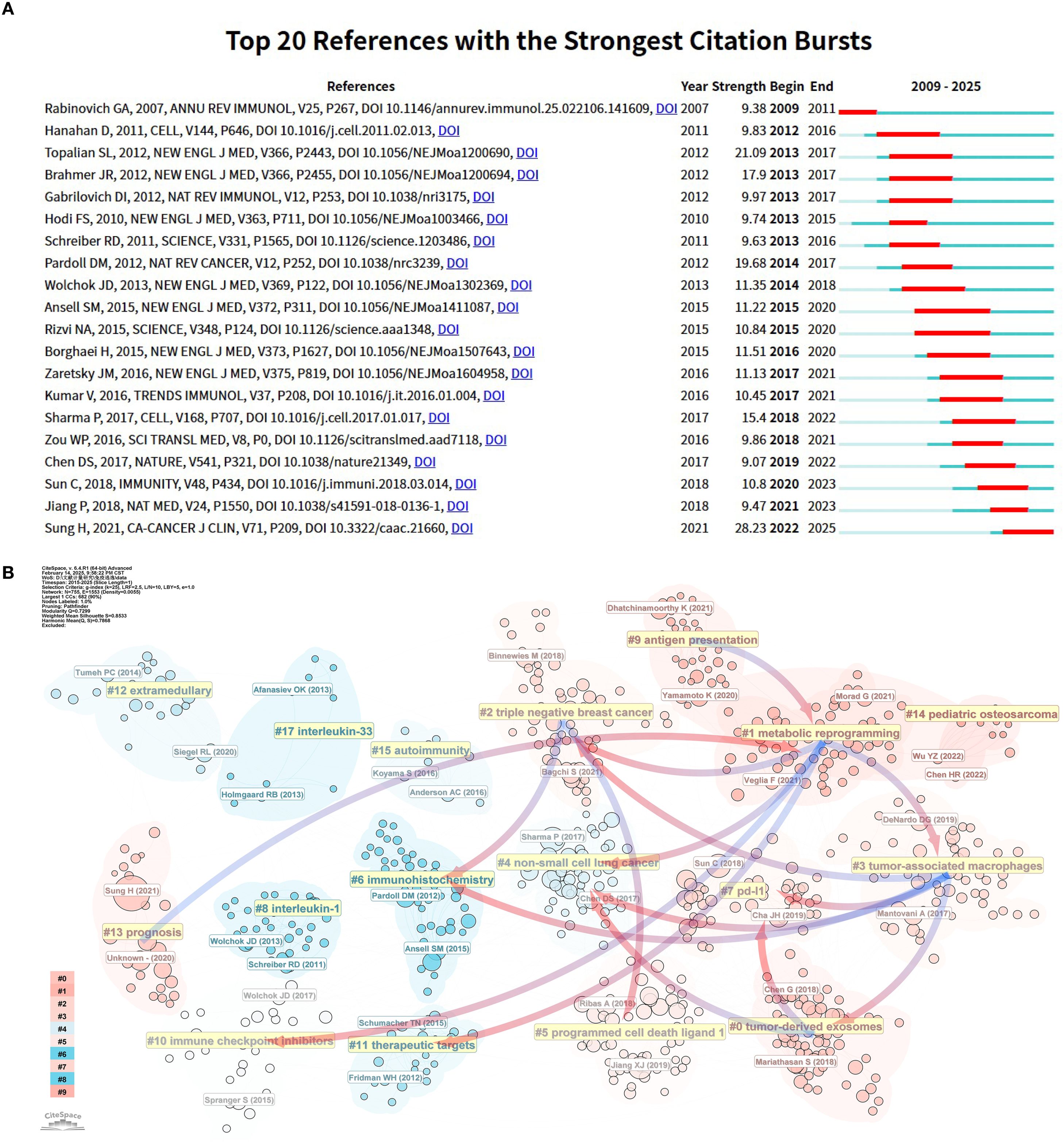 (A) A table listing the top twenty references with the strongest citation bursts from 2009 to 2025. The table includes columns for reference details, year, strength, begin and end years, and a visual timeline of bursts with blue and red bars. (B) A complex network diagram visualizing connections between various scientific topics such as interleukin, metabolic reprogramming, and immune checkpoints, with nodes and links indicating relationships, arranged by theme and year, color-coded in shades of blue, red, and green.