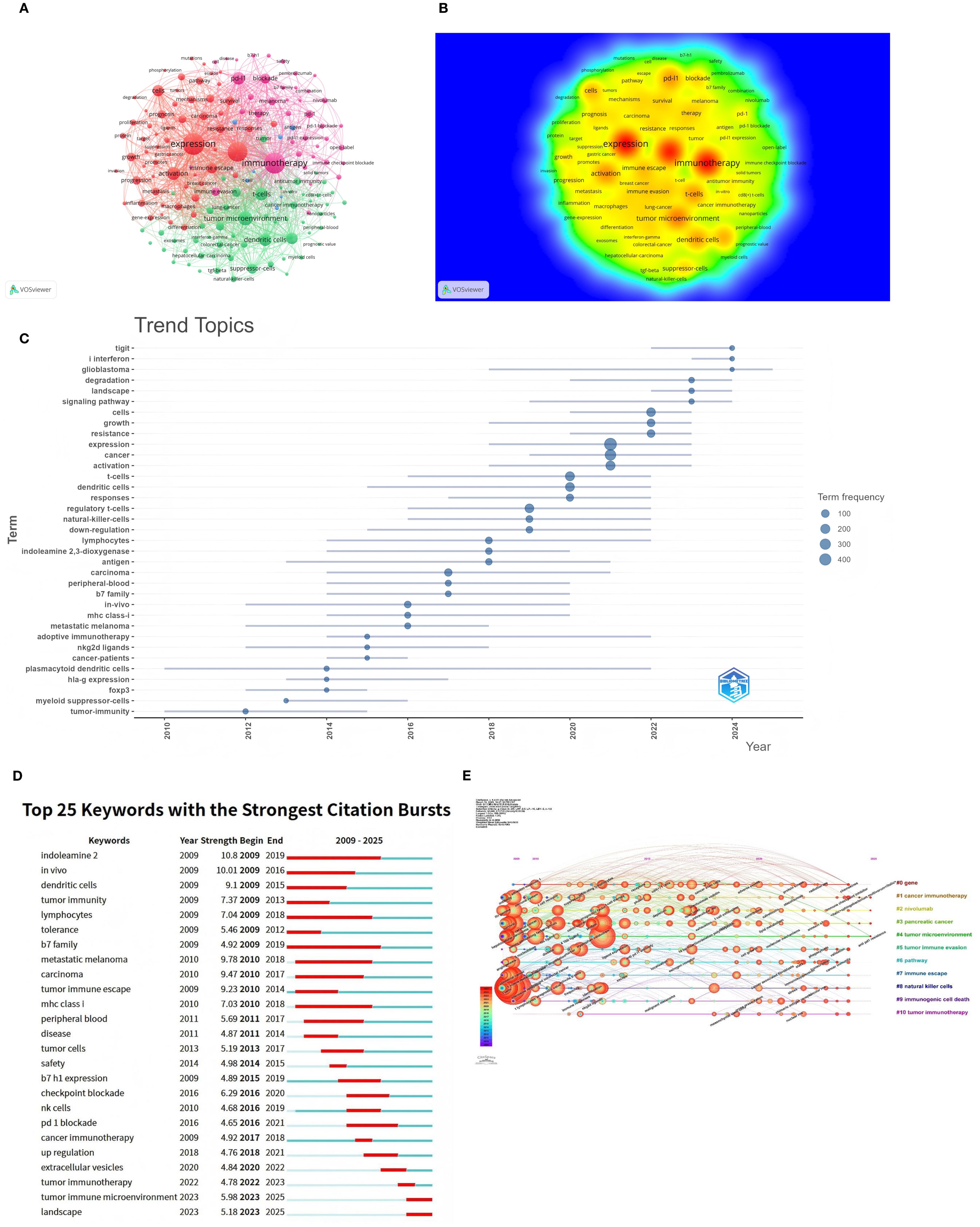 Panel A shows a network of trend topics with “expression” and “immunotherapy” as central nodes, connected to other keywords in red and green. Panel B is a density visualization highlighting key terms like “expression” and “tumor microenvironment” in warm colors on a blue background. Panel C is a timeline chart depicting changes in the popularity of terms from 2001 to 2023, with dots indicating frequency. Panel D lists the top 25 keywords with the strongest citation bursts, featuring colored bars indicating the duration of each burst. Panel E presents a flowchart of thematic evolution with overlapping lines and clusters.