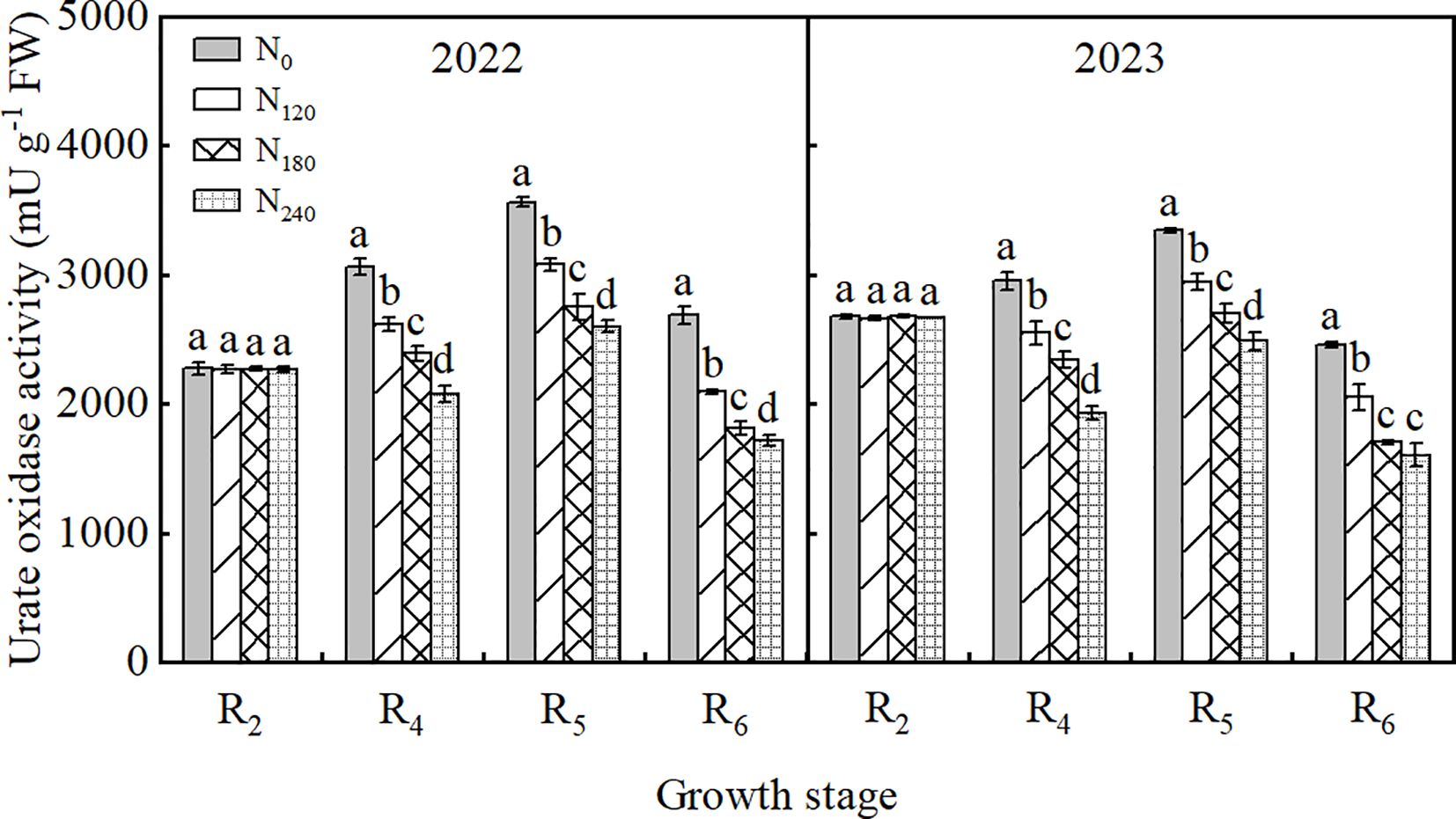 Bar chart comparing urate oxidase activity across various growth stages (R2, R4, R5, R6) for the years 2022 and 2023. Four nitrogen treatment levels are depicted: N0, N120, N180, and N240. Activity levels are indicated in millimoles per gram of fresh weight, with higher activity in N0 and lower activity in N240 across both years. Error bars and different letter annotations signify statistical differences between treatment groups.