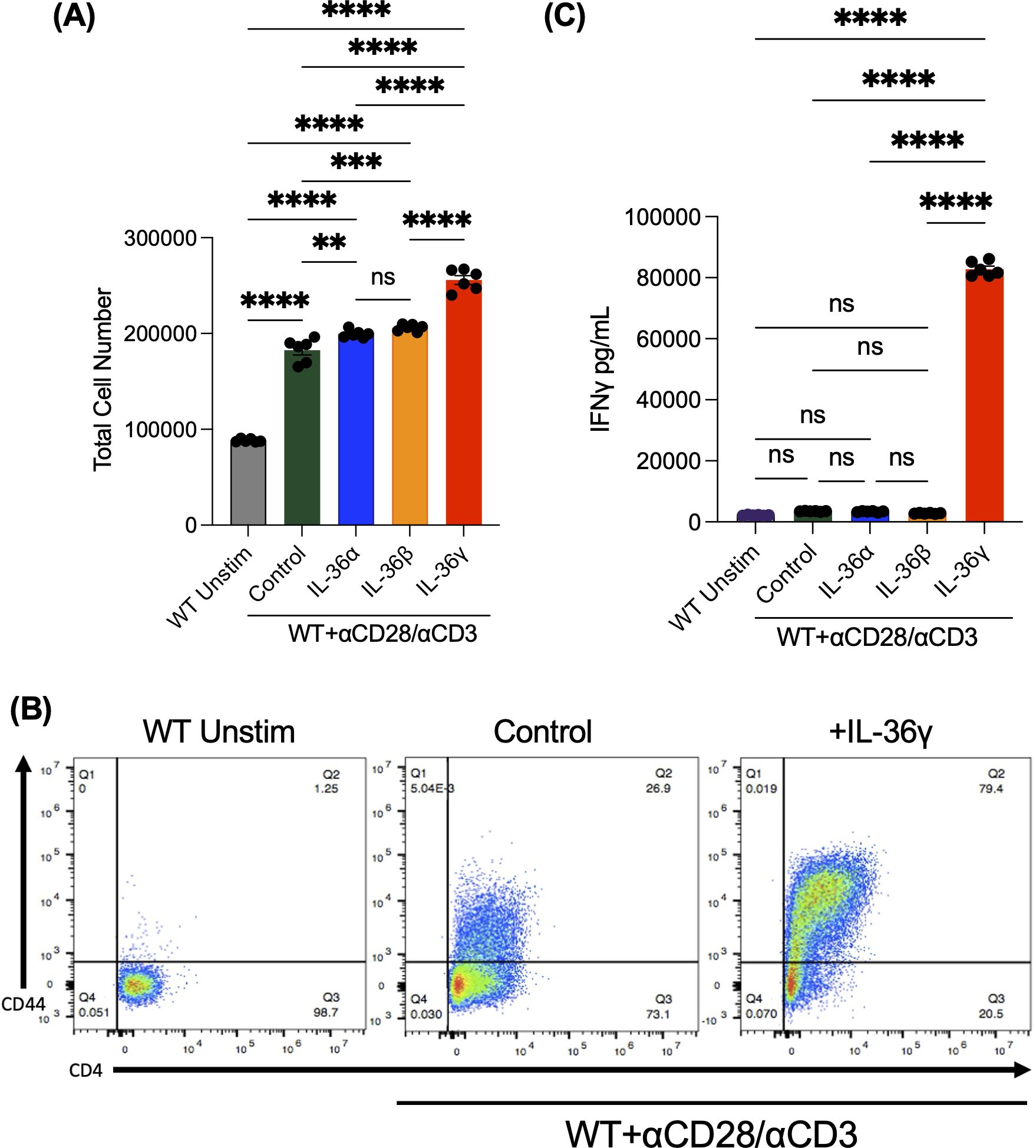 Bar and flow cytometry plots showing the effects of various treatments on cell count and IFNγ production. (A) Bar graph comparing total cell counts under different conditions, showing significant differences denoted by asterisks. (B) Flow cytometry plots displaying CD44 and CD4 expressions with unstimulated, control, and IL36γ treatments. (C) Bar graph showing IFNγ levels under the mentioned conditions, with IL-36γ resulting in the highest levels, also indicating significance through asterisks.