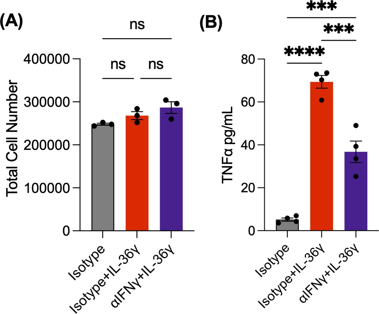 Composite image displaying experimental results in mice. Graph (A) shows fecal LCN2 levels for WT unstimulated, CD3 stimulated, and Il-36g treated groups, with significant differences noted. Photograph (B) depicts colons from the groups. Graph (C) illustrates colon lengths across treatments, with statistical significance indicated. Image (D) shows spleens from each treatment group. Graph (E) presents splenocyte counts, highlighting significant differences. Panel (F) provides histological sections of colons with varying treatments. Graph (G) reports histological scores, showing significant differences among groups.