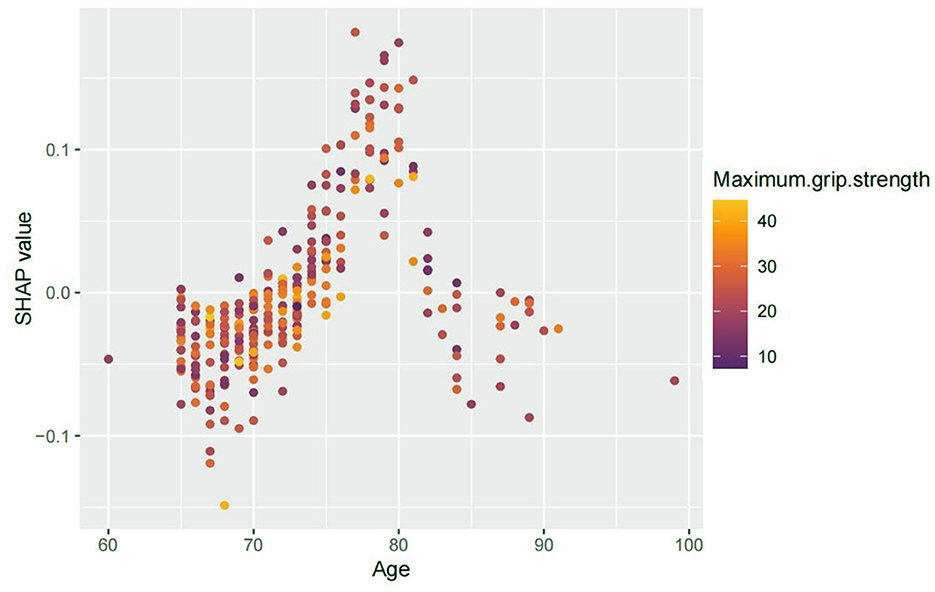 Scatter plot depicting SHAP values against age, with data points colored by maximum grip strength. Ages range from 60 to 100 years, and SHAP values from -0.1 to 0.2. Grip strength is shown in colors from purple (low) to yellow (high). Most data is concentrated between ages 65 and 80.