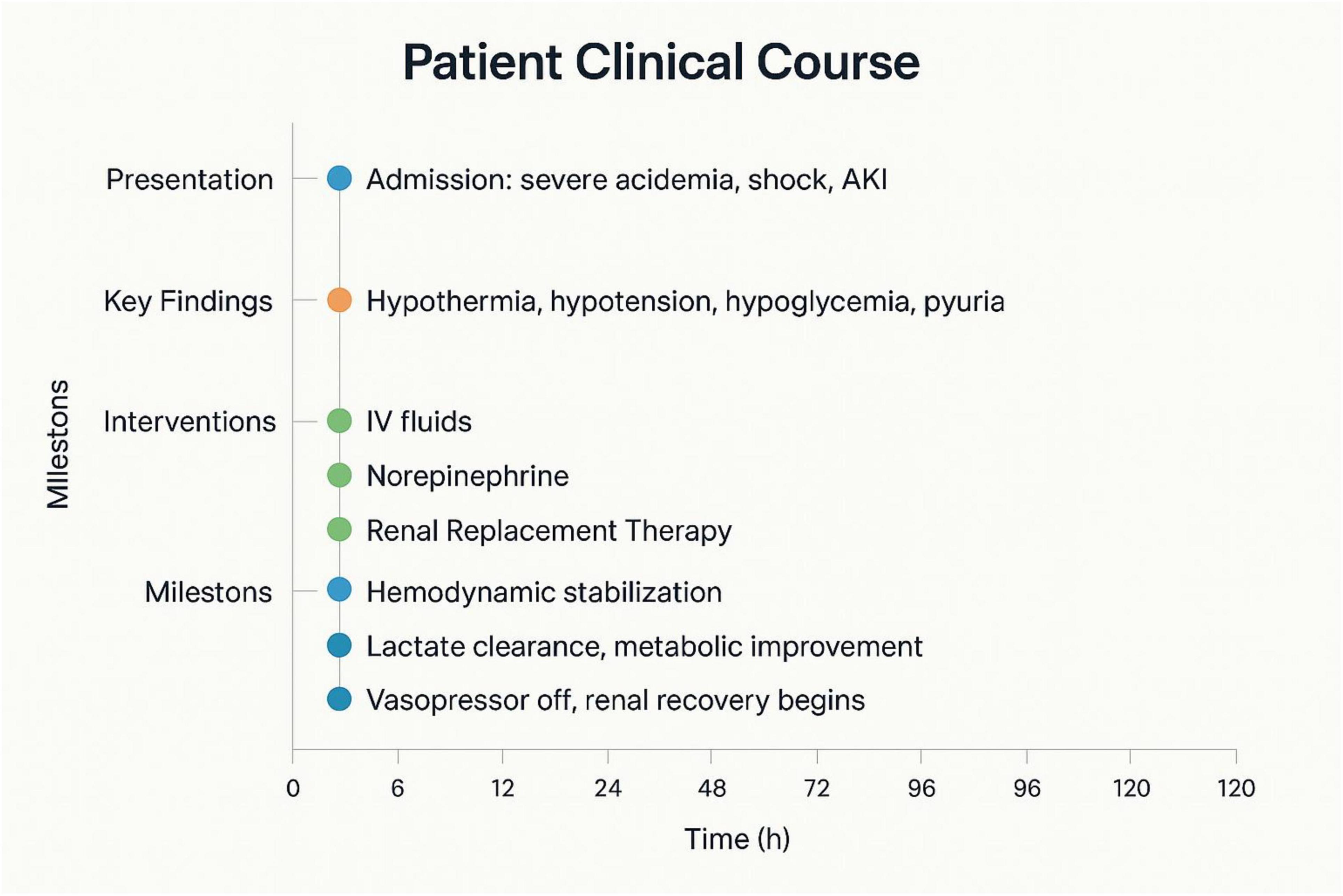 Timeline graph titled “Patient Clinical Course” displays milestones over time in hours. Events include presentation, key findings, interventions, and milestones. Key details: Admission with severe acidemia, shock, AKI; findings of hypothermia and hypotension; interventions like IV fluids, norepinephrine, renal replacement therapy; stabilization, metabolic improvement, vasopressor removal, and renal recovery.