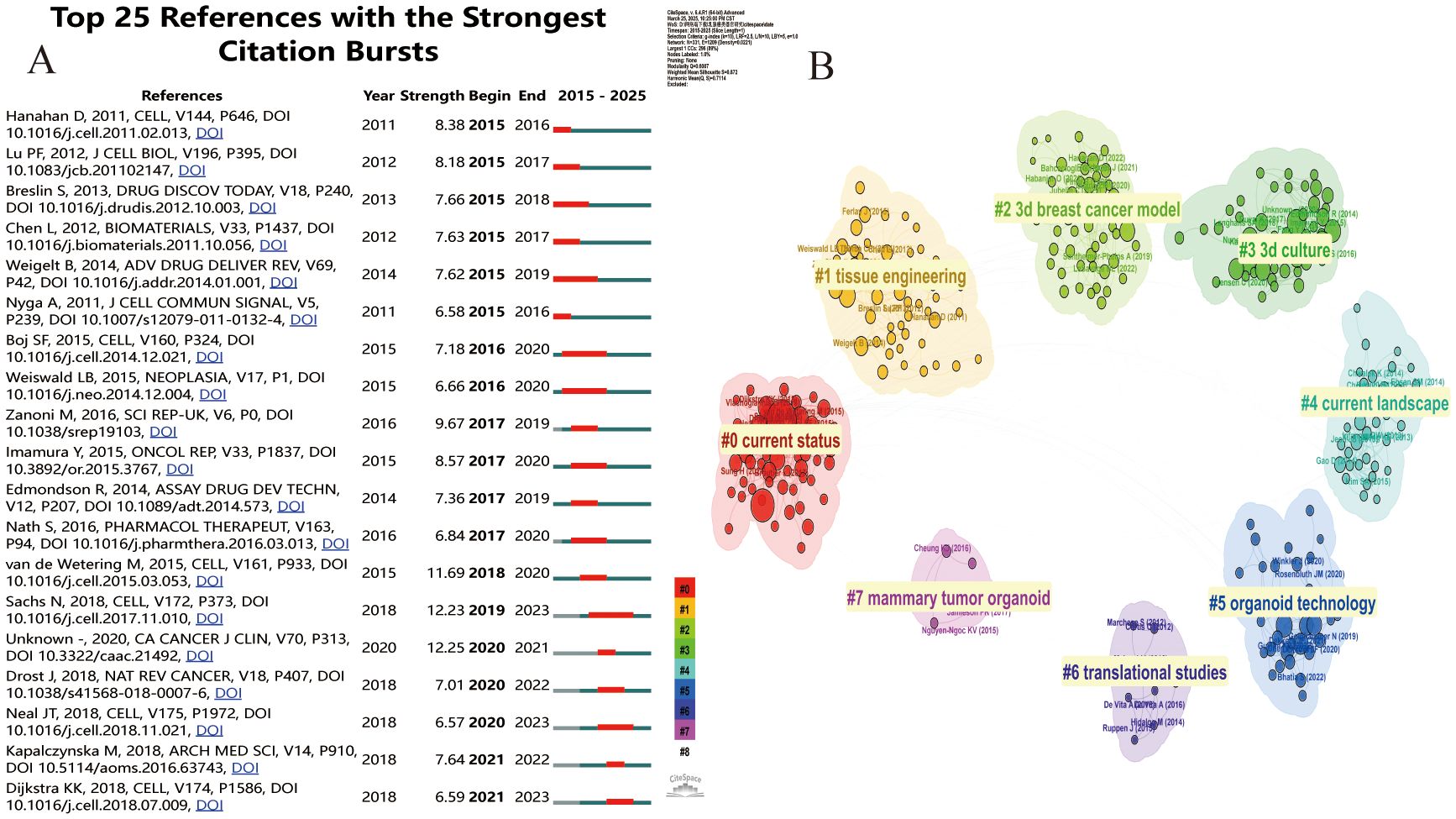 Panel A presents a list of the top 25 references with the strongest citation bursts from 2015 to 2025, detailing references, year, strength, and duration of bursts. Panel B showcases a cluster visualization of research areas, labeled with topics such as “current status,” “tissue engineering,” “breast cancer model,” and “organoid technology,” using color-coded clusters to indicate different research focuses.