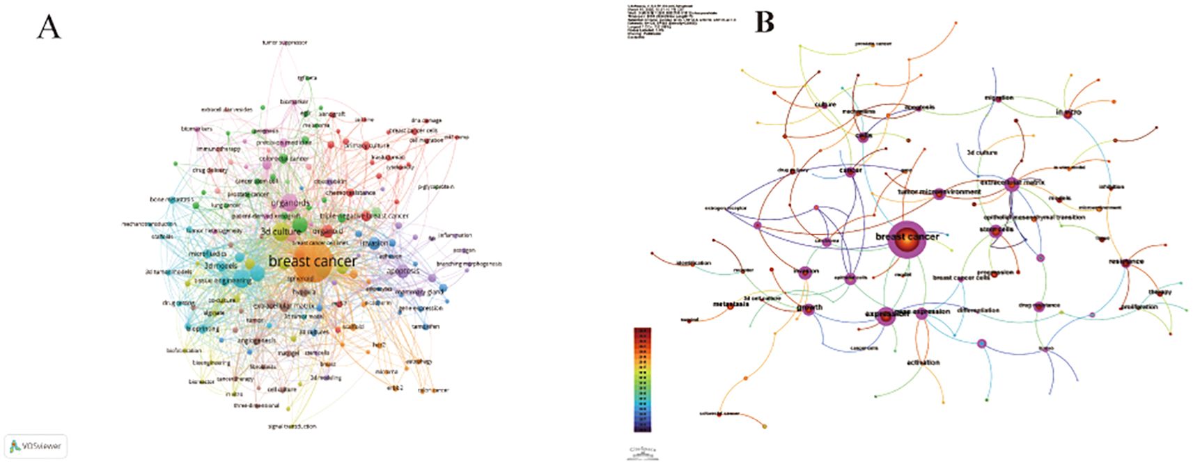 Two network diagrams labeled A and B illustrating research topics related to breast cancer. Diagram A shows a dense web of interconnected nodes with “breast cancer” at the center, highlighting various associated research areas. Diagram B presents a similar structure, using a spectrum from red to blue to represent different data parameters.