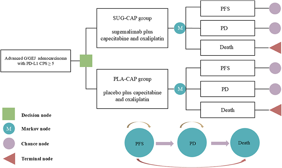 Flowchart depicting decision pathways for advanced gastroesophageal junction adenocarcinoma with PD-L1 CPS ≥ 5. Two groups are compared: SUG-CAP (sugemalimab, capecitabine, oxaliplatin) and PLA-CAP (placebo, capecitabine, oxaliplatin). Each group leads to Markov nodes progressing through PFS (progression-free survival), PD (progression of disease), and Death. The nodes are indicated as decision, Markov, chance, and terminal.