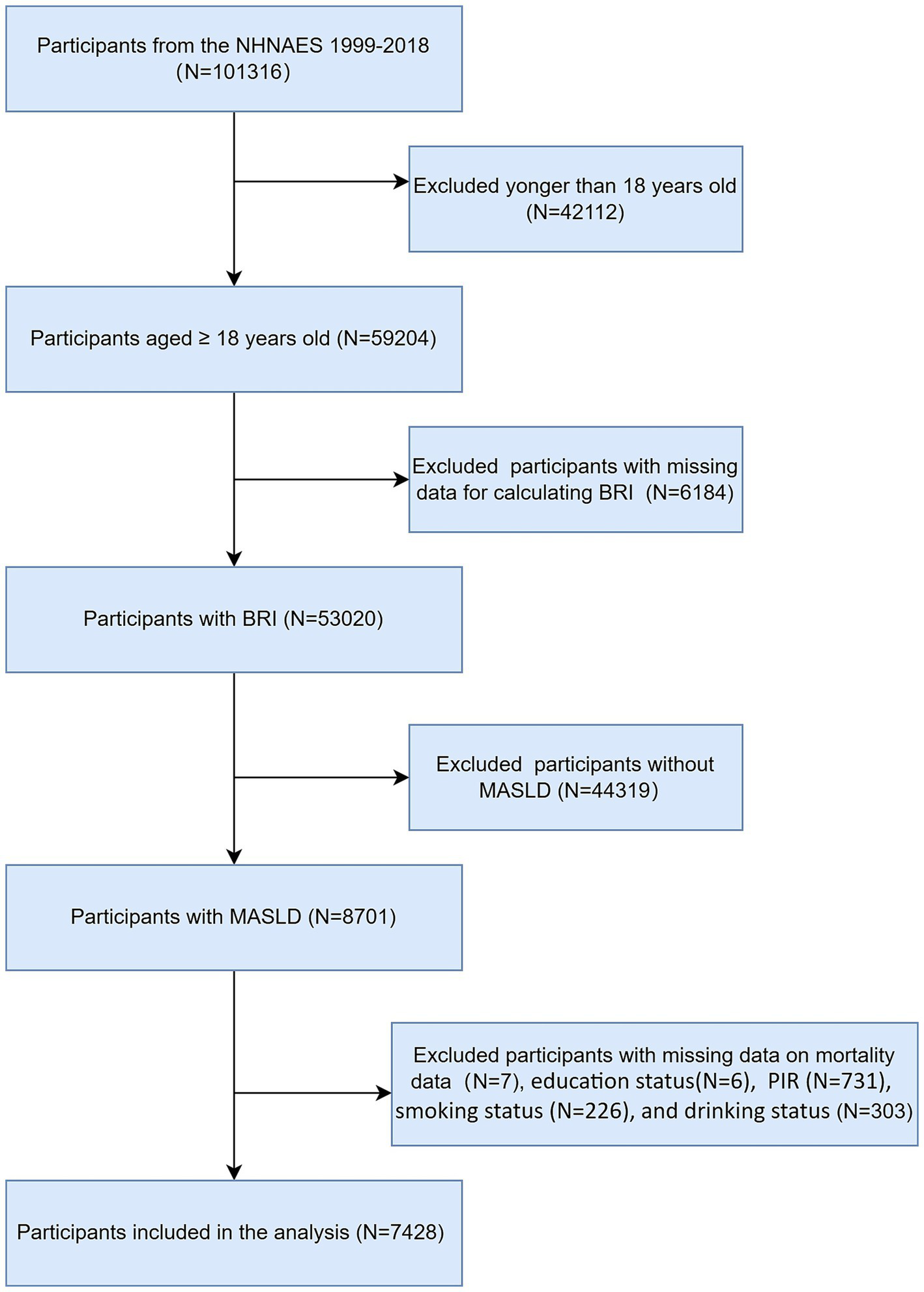 Flowchart detailing participant selection from NHANES 1999-2018. Begins with 101,316 participants, excluding those under 18 (42,112), resulting in 59,204 aged 18 and over. Further excludes 6,184 due to missing BRI data, leaving 53,020. Removes 44,319 without MASLD, yielding 8,701. Final exclusions for missing mortality, education, PIR, smoking, and drinking data (total 1,273), results in 7,428 participants included in analysis.