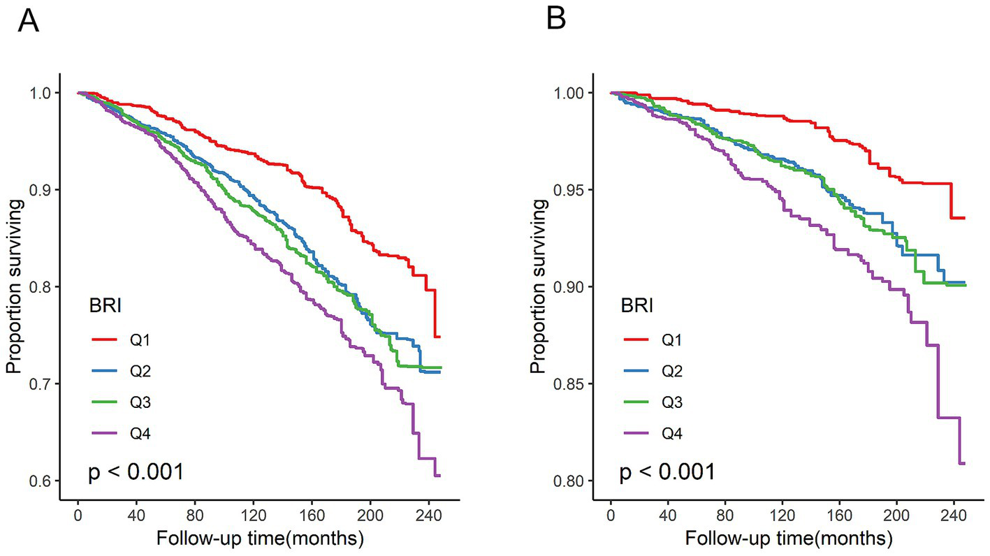 Survival analysis plots comparing two graphs, A and B. Both depict survival probabilities over 240 months for quartiles Q1 to Q4. A shows a gradual decline in survival rates, with Q1 having the highest and Q4 the lowest survival. B shows a similar trend but with higher initial survival rates for all quartiles. A notable p-value of less than 0.001 suggests significant differences between the groups in both plots.