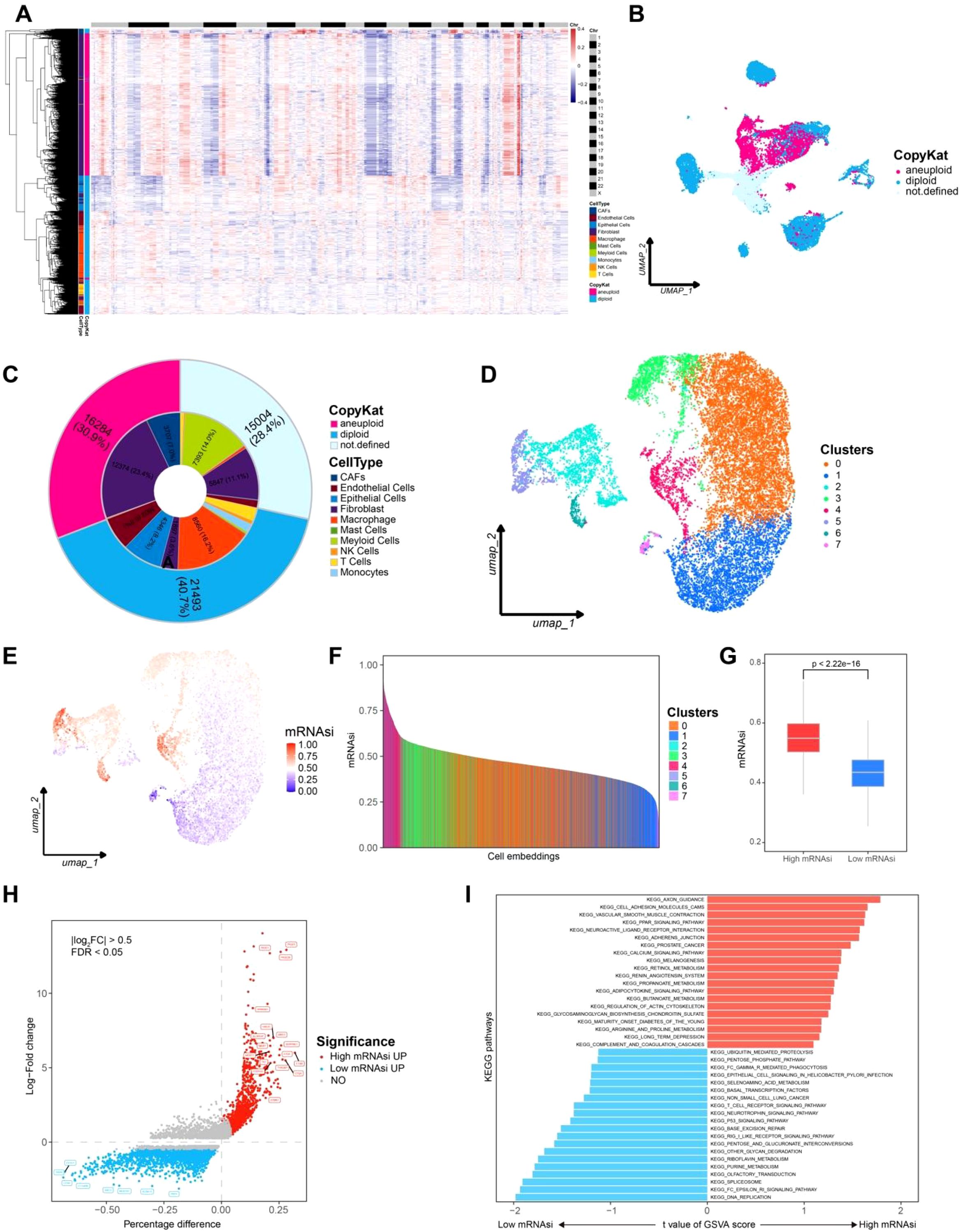 A collage of scientific data visualizations related to cellular and molecular analysis. Panel A shows a heatmap of gene expression with color-coded annotations. Panel B displays a UMAP plot categorizing cells as aneuploid or diploid. Panel C features a donut chart of cell type distribution. Panel D presents another UMAP plot highlighting different cell clusters. Panel E illustrates a UMAP plot including mRNA expression levels. Panel F is a bar chart of cell embeddings and mRNA indices. Panel G depicts a boxplot comparing high and low mRNA indices. Panel H is a scatter plot of log-fold change versus percentage difference. Panel I displays a bar chart of KEGG pathway enrichment across conditions.