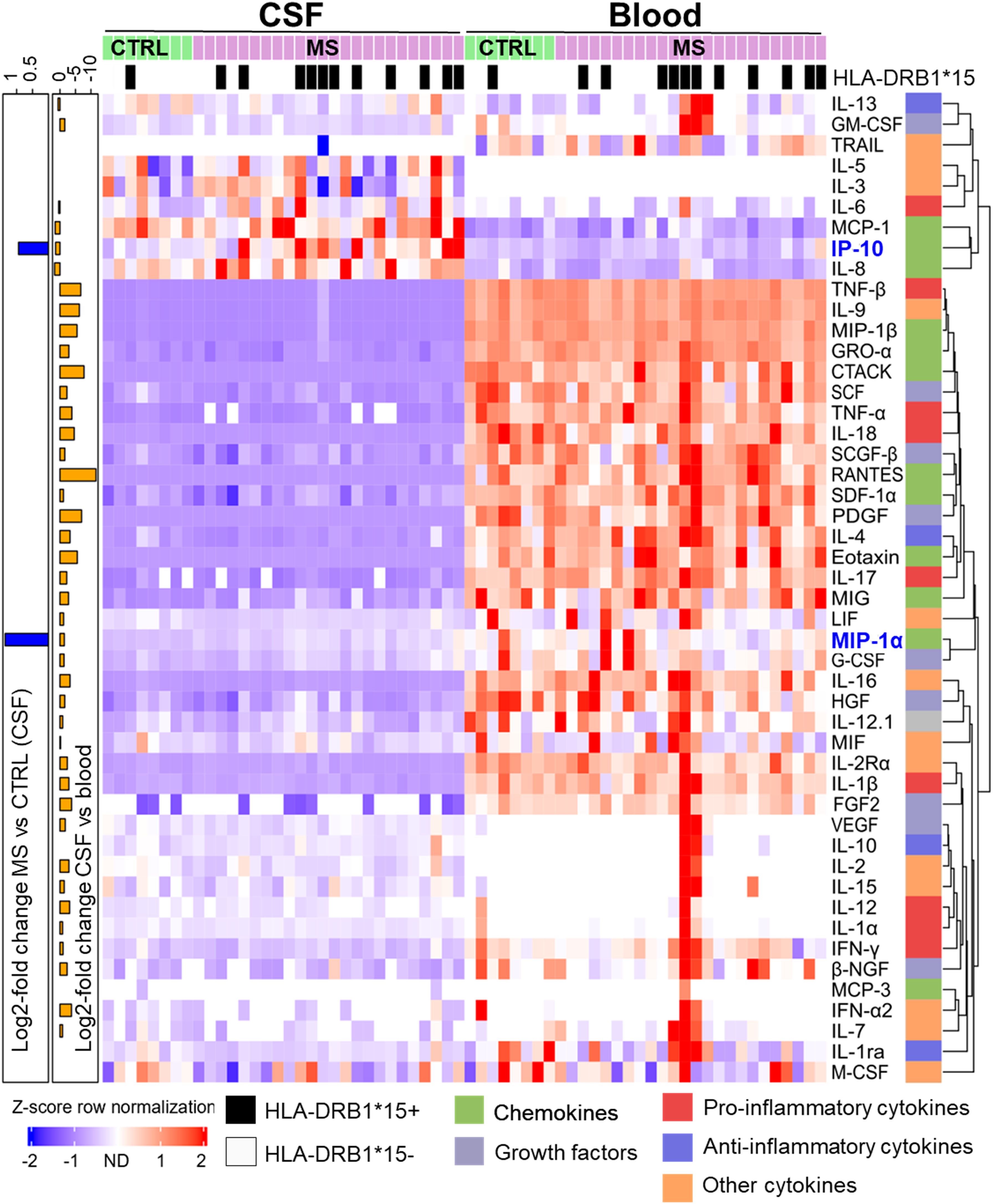 Heatmap showing cytokine and growth factor levels in cerebrospinal fluid (CSF) and blood for control (CTRL) and multiple sclerosis (MS) samples. HLA-DRB1*15 status is indicated. Color coding represents cytokine categories: chemokines, pro-inflammatory, anti-inflammatory, and other cytokines. The data is normalized using Z-scores with a color scale from blue for negative to red for positive values.
