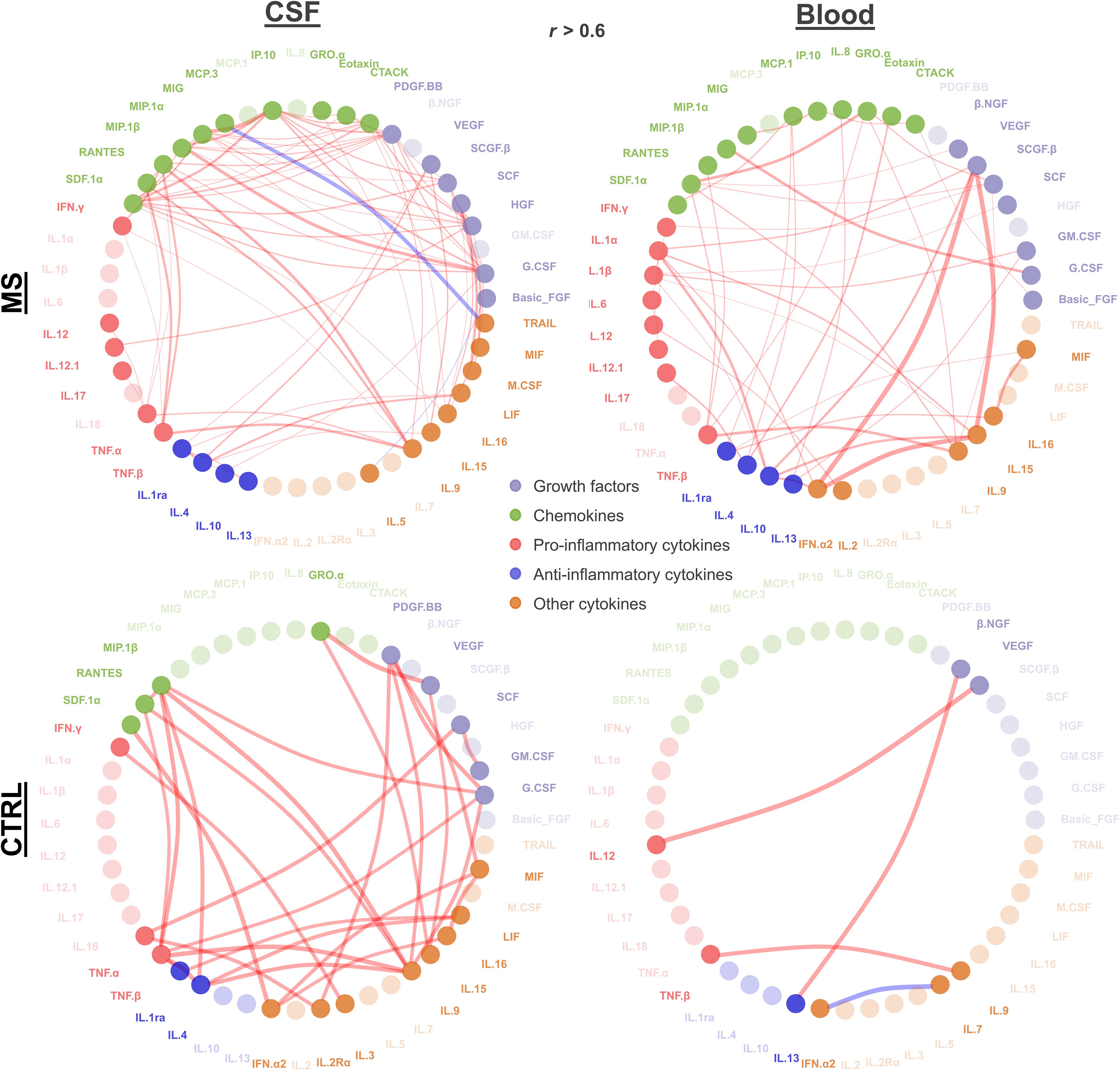 Four circular correlation charts display interactions among cytokines in cerebrospinal fluid (CSF) and blood samples for MS and CTRL groups. Nodes represent growth factors, chemokines, and cytokines, color-coded by type. Lines indicate significant correlations (r > 0.6), with different colors representing pro-inflammatory and anti-inflammatory cytokines.