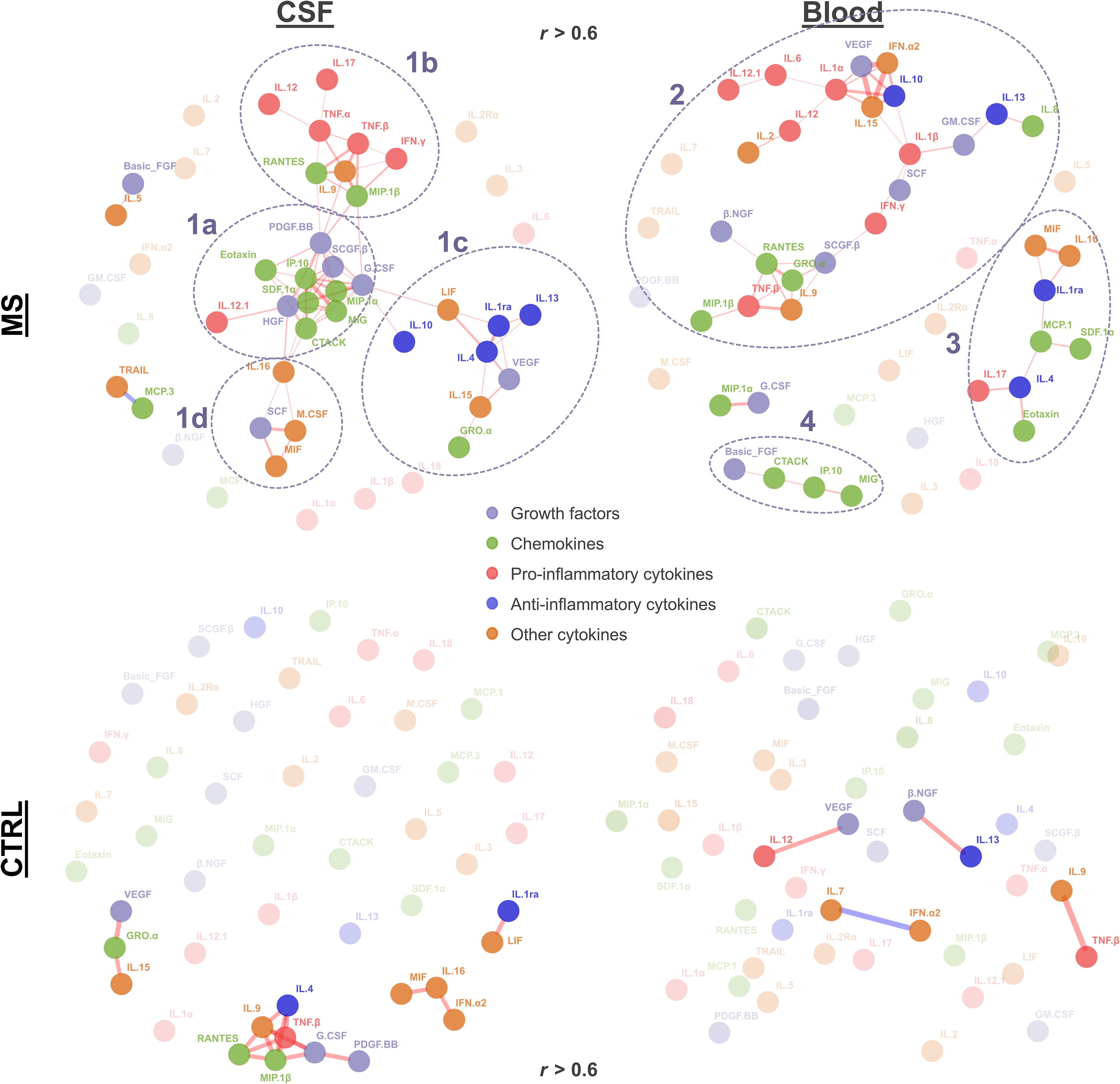 Network diagrams showing cytokine interactions in cerebrospinal fluid (CSF) and blood of multiple sclerosis (MS) and control (CTRL) subjects. Groups are marked with dashed lines, with size and color indicating the type of cytokines: growth factors, chemokines, pro-inflammatory, anti-inflammatory, and other cytokines. Correlation strength is noted as greater than zero point six. MS networks highlight distinct clusters labeled 1a, 1b, 1c, 1d, 2, 3, and 4, with CTRL networks showing more dispersed patterns.