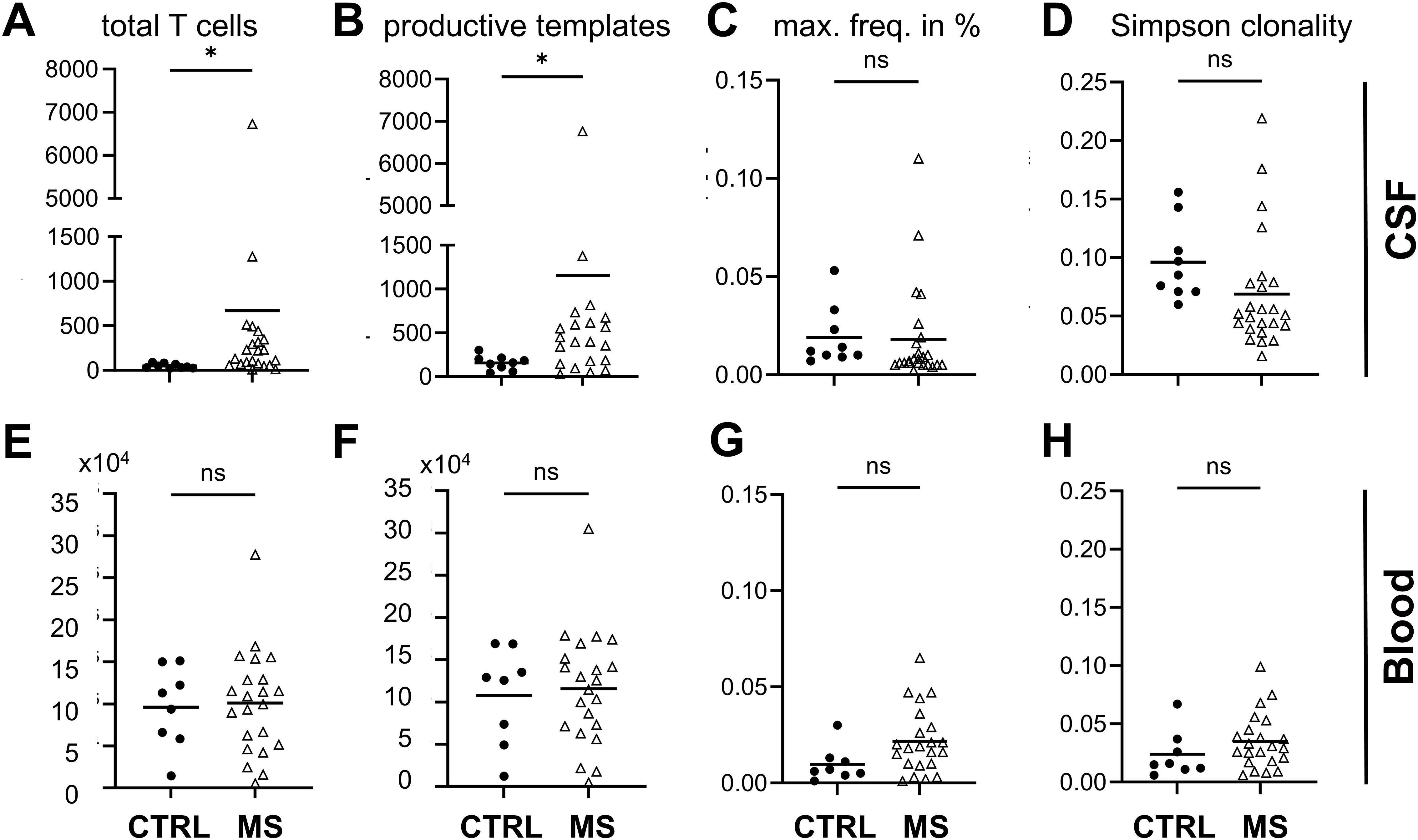Graphs A to D compare CSF data between CTRL and MS groups, showing significant differences in total T cells and productive templates (marked with an asterisk), and no significant differences in maximum frequency and Simpson clonality. Graphs E to H compare blood data, showing no significant differences in total T cells, productive templates, maximum frequency, and Simpson clonality between the two groups. Solid dots represent CTRL and open triangles represent MS.