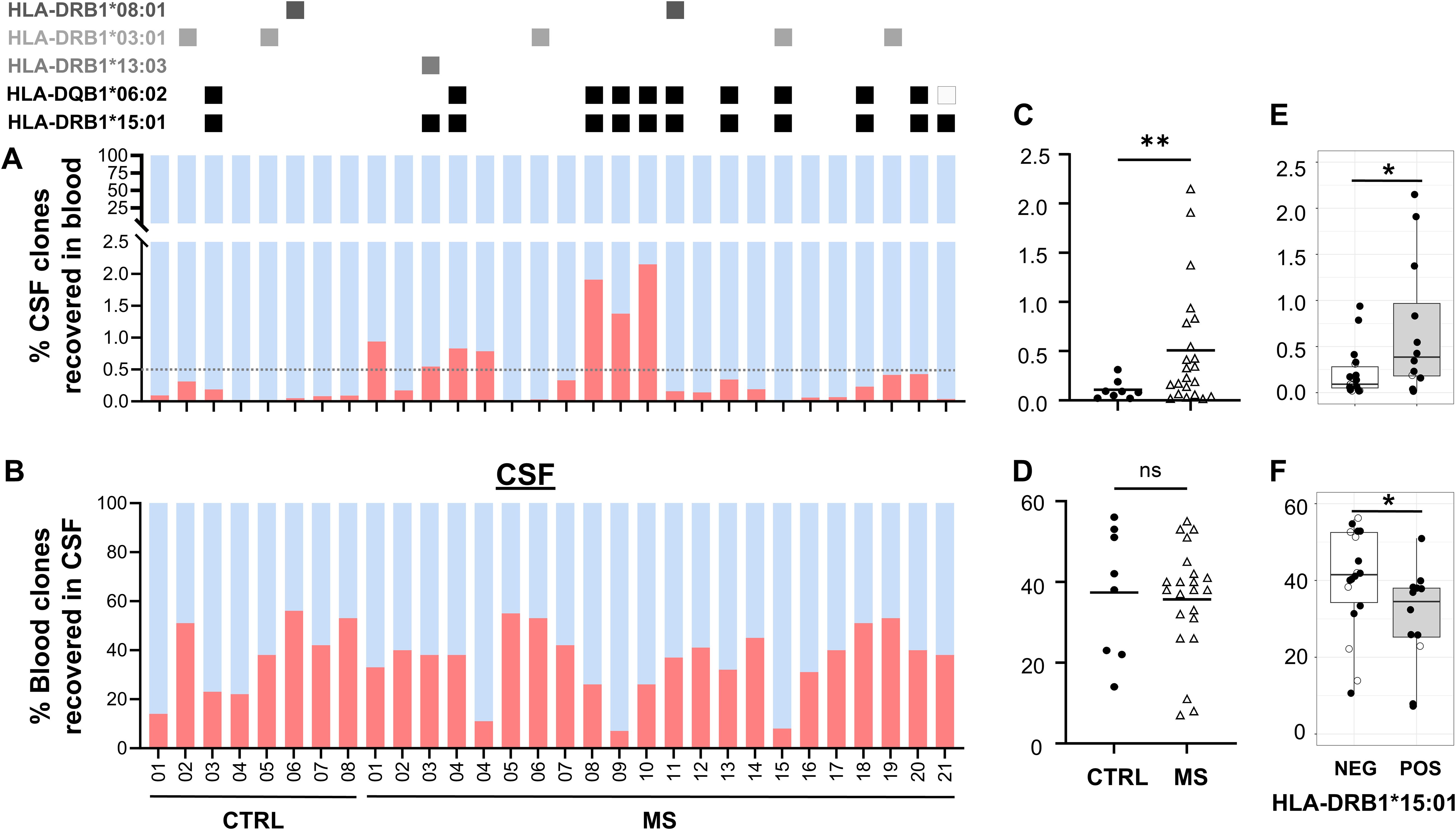 Bar and dot plots compare the percentage of CSF and blood clones in controls (CTRL) versus multiple sclerosis (MS) patients. Panels A and B show bar graphs of clone percentages, with variations between groups. Panels C and D present dot plots with significant differences in clone recovery. Panels E and F are box plots showing statistical differences associated with HLA-DRB1*15:01 status, marked by asterisks indicating significance levels.