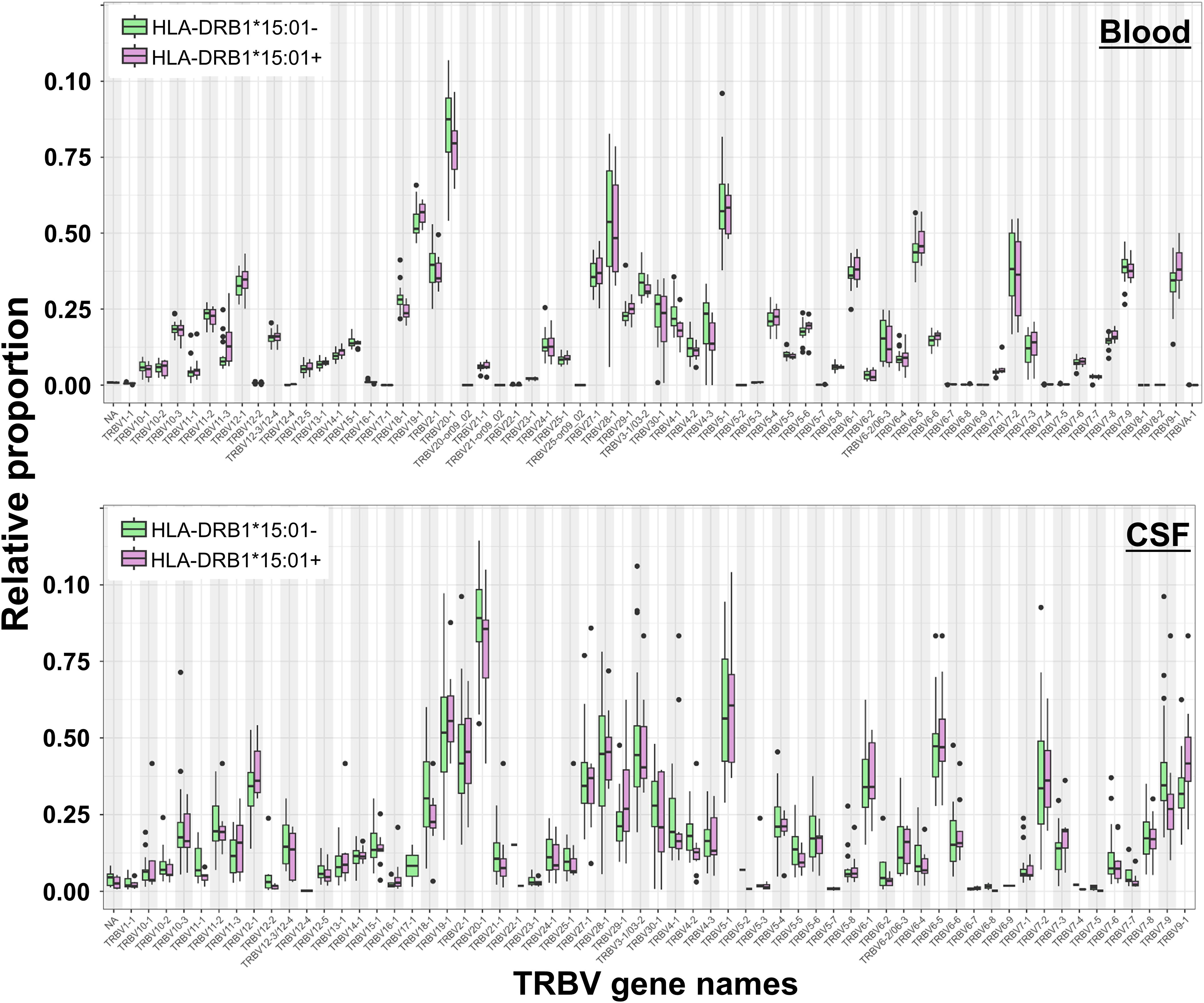 Box plots showing the relative proportions of TRBV gene names in Blood and CSF samples. Two groups are compared: HLA-DRB1*15:01- (green) and HLA-DRB1*15:01+ (purple). Each plot shows variation in gene proportions with numerous data points and whiskers.