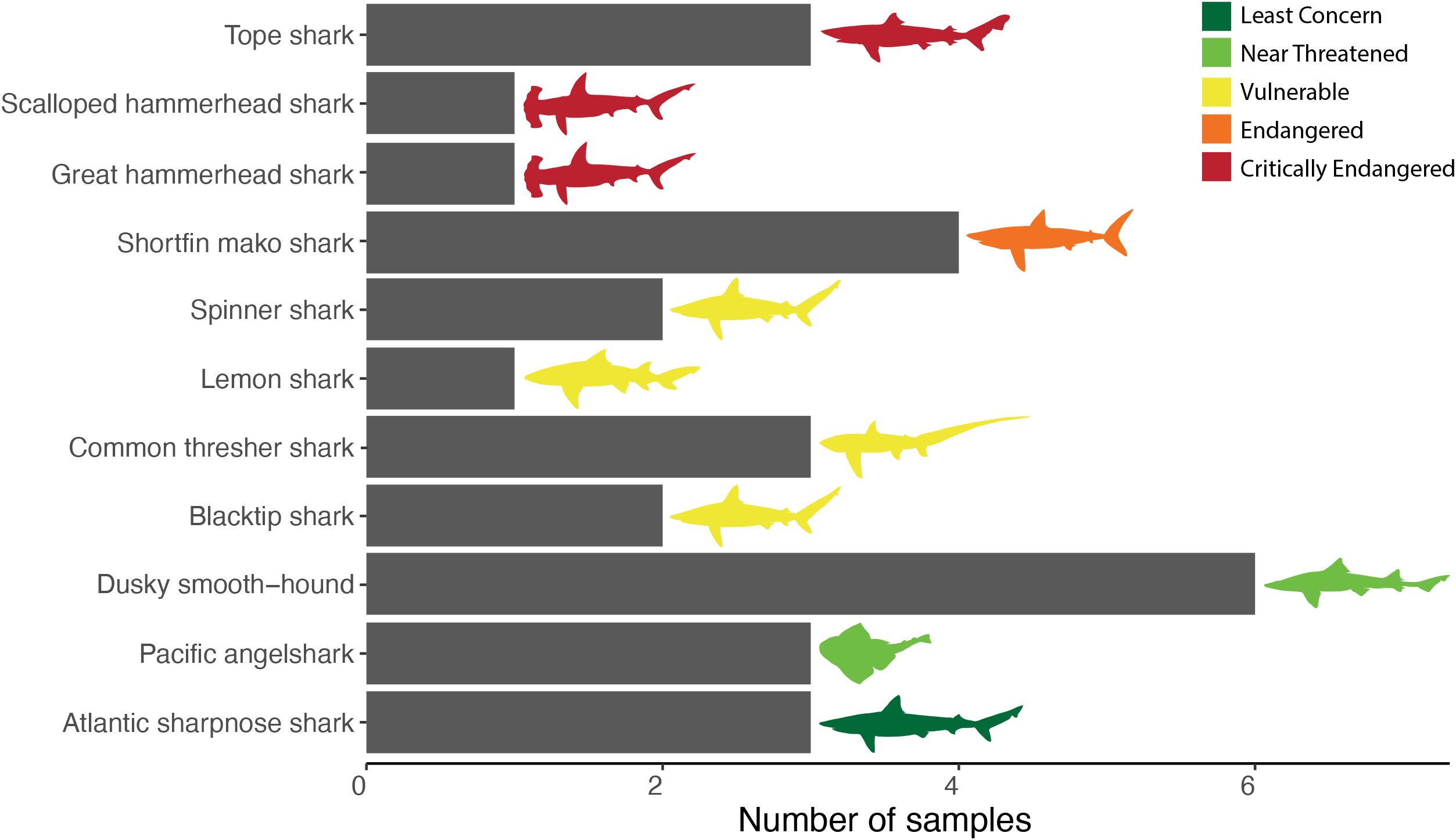 Bar chart showing shark species with the number of samples. Colors indicate conservation status.