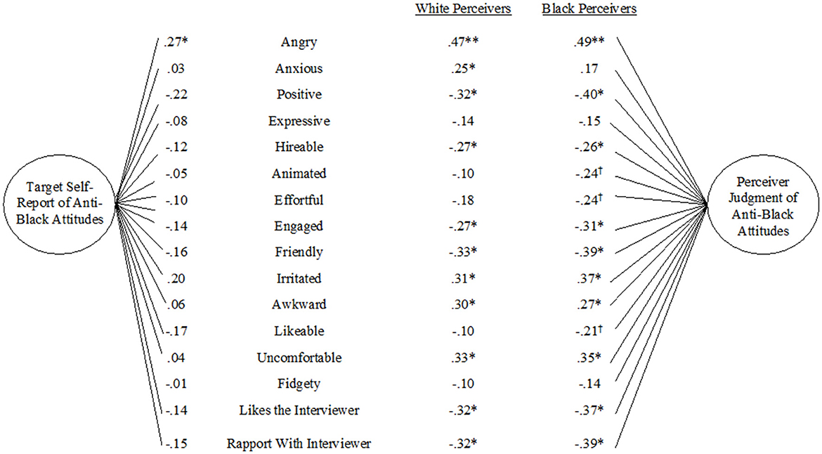 Comparison chart showing correlation coefficients for perceptions of anti-Black attitudes. Left side displays correlations with target self-reports from traits like angry (.27*) to rapport with interviewer (-.15). Right side shows perceiver judgments, comparing white and Black perceivers. White perceivers range from angry (.47**) to fidgety (-.32*), and Black perceivers from angry (.49**) to fidgety (-.39*). Asterisks indicate significance levels.