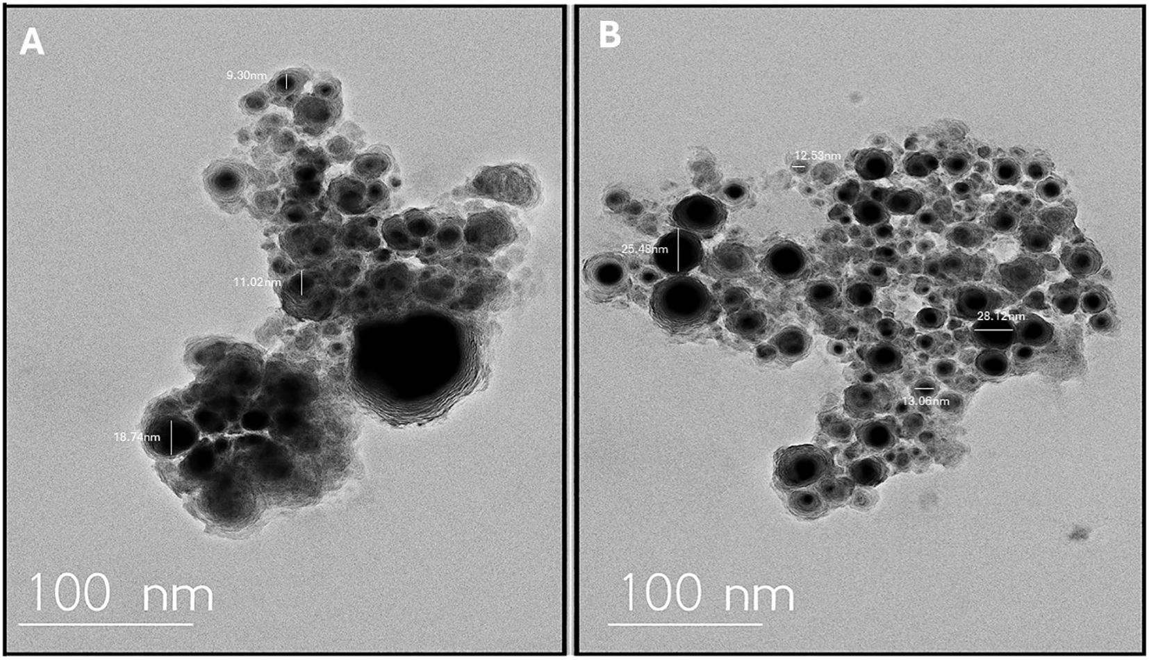 Two-panel electron microscopy image showing clusters of nanoparticles. Panel A displays particles with varied sizes labeled as 9.30 nm, 11.02 nm, and 18.74 nm. Panel B shows particles with sizes labeled as 12.53 nm, 13.06 nm, 25.48 nm, and 28.12 nm. Both panels include a 100 nm scale bar for reference.