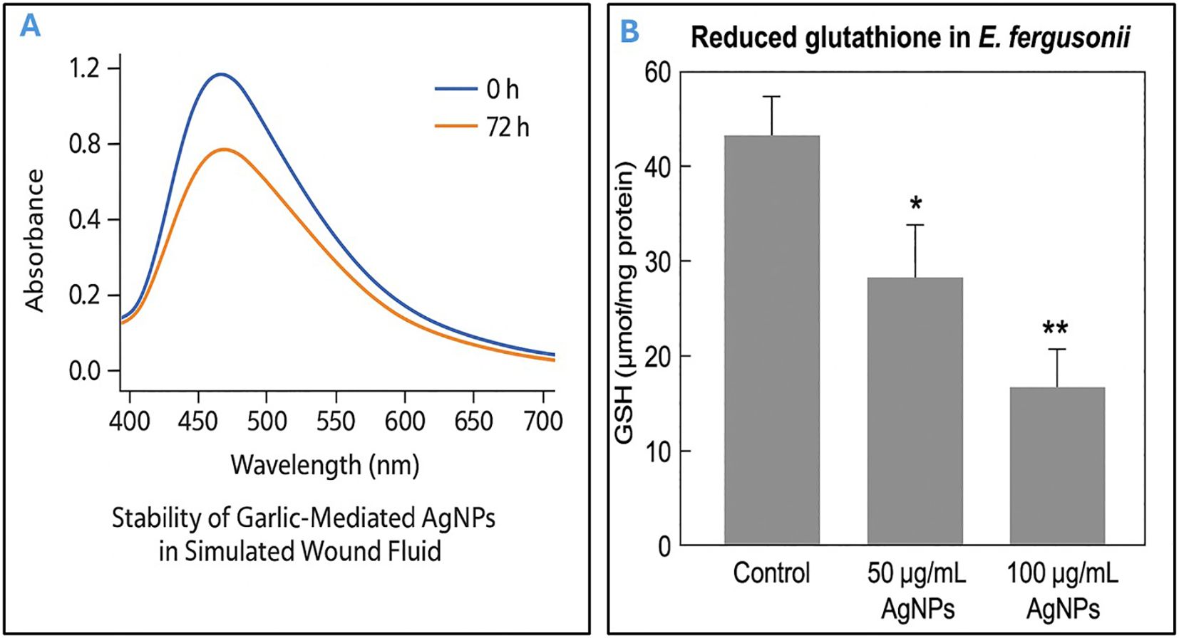 Two-part image. A: Line graph showing absorbance versus wavelength for garlic-mediated silver nanoparticles in simulated wound fluid at 0 hours and 72 hours. Absorbance decreases slightly over time. B: Bar graph displaying reduced glutathione levels in *E. fergusonii*. Control shows the highest level, decreasing with 50 micrograms per milliliter, and further with 100 micrograms per milliliter of silver nanoparticles. Error bars indicate variability.