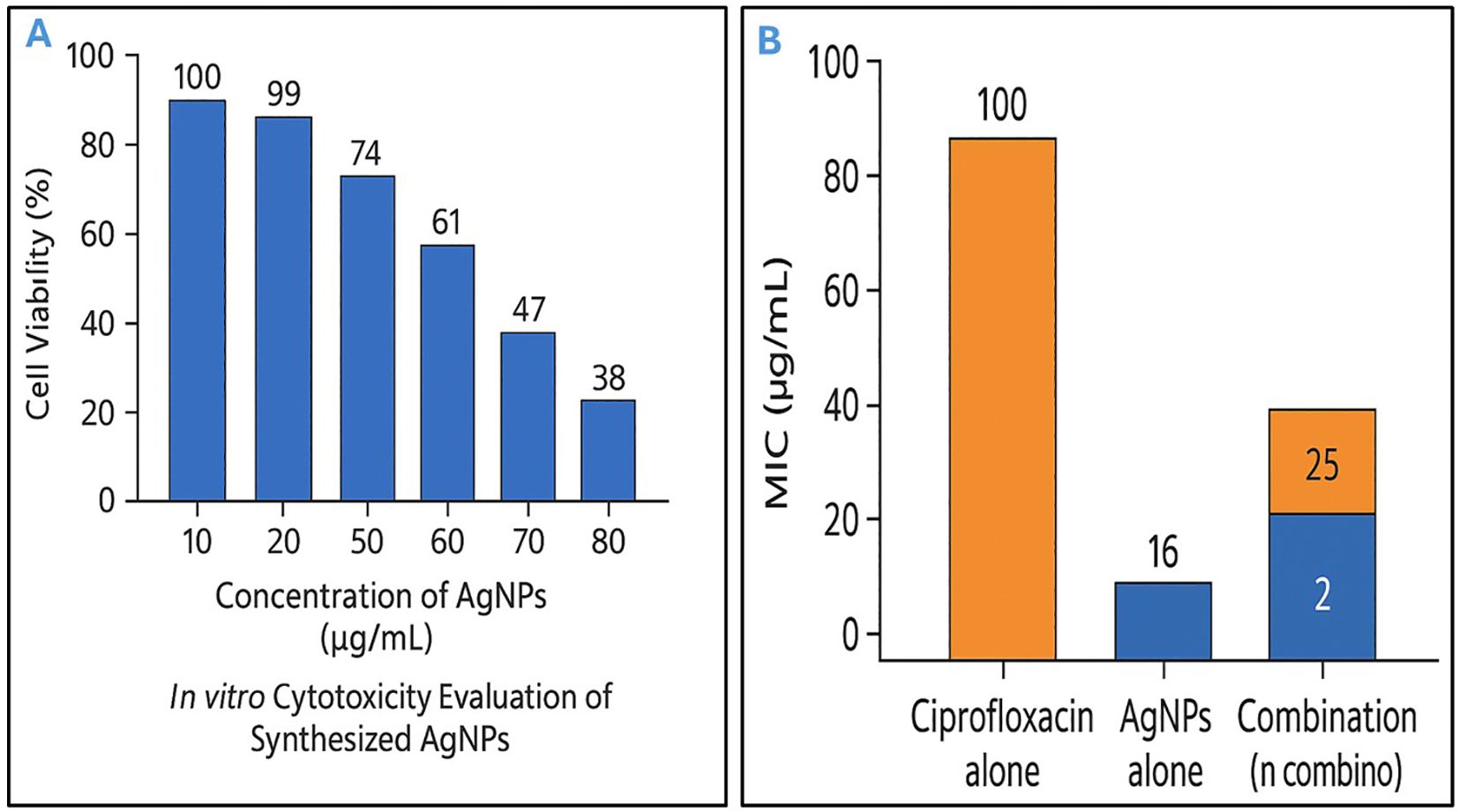 Chart A shows cell viability percentages decreasing with increasing concentrations of AgNPs from ten to eighty micrograms per milliliter, dropping from one hundred to thirty-eight percent. Chart B compares minimum inhibitory concentrations, showing ciprofloxacin alone at one hundred micrograms per milliliter, AgNPs alone at sixteen, and the combination at twenty-seven.