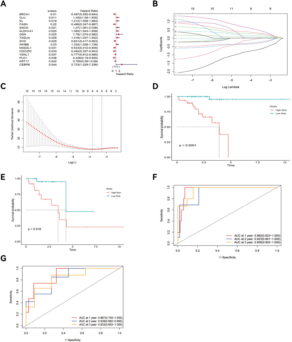 Panel A displays a forest plot indicating hazard ratios with corresponding p-values for various genes. Panel B shows a plot of coefficients versus log lambda for different variables. Panel C is a plot of partial likelihood deviance against log lambda. Panels D and E present Kaplan-Meier survival curves comparing high and low risk groups, with respective p-values of less than 0.0001 and 0.018. Panels F and G are ROC curves demonstrating sensitivity versus 1-specificity at one, two, and three years, with AUC values for each timeframe.