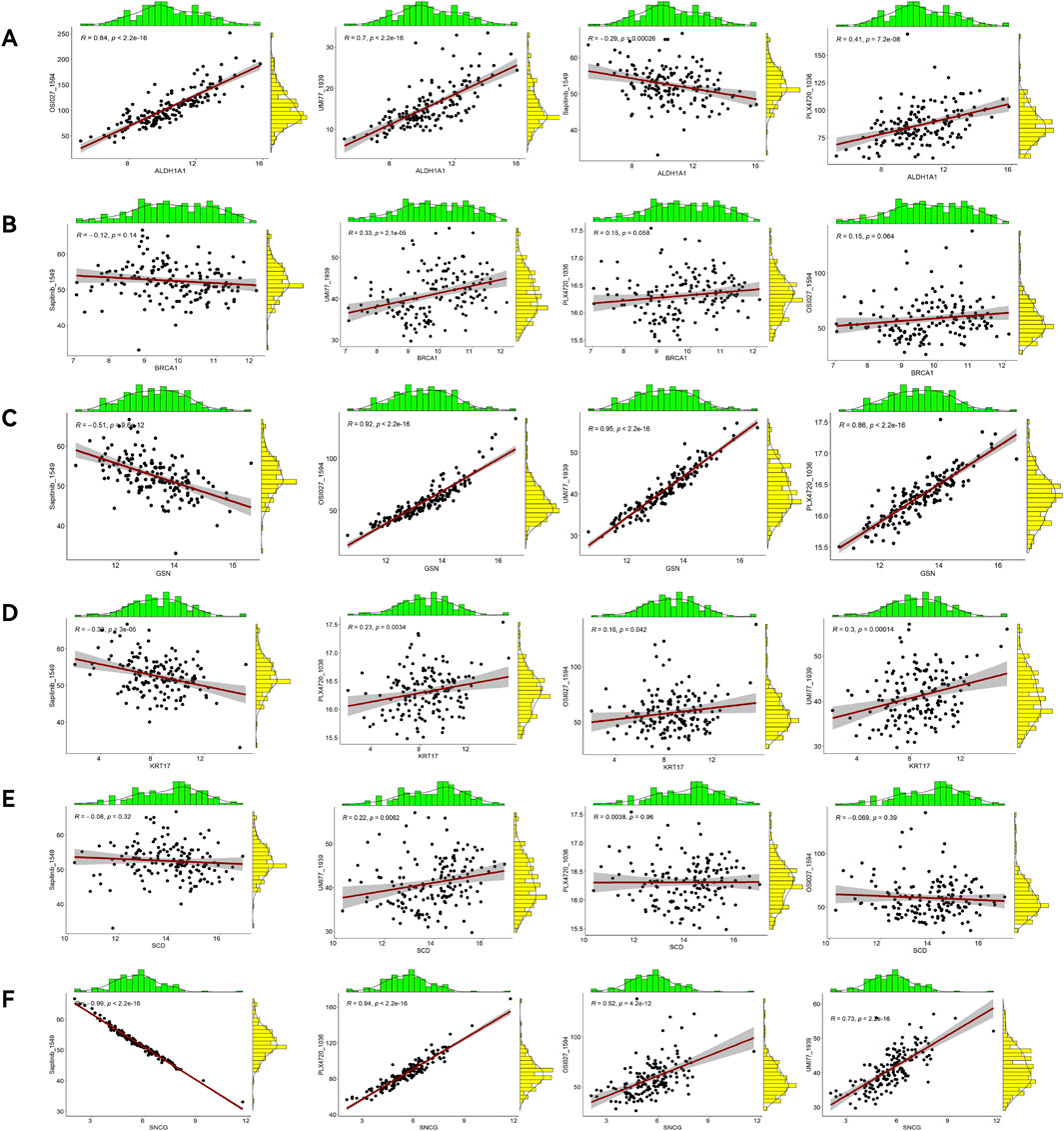 Scatter plot matrix showing correlations between different gene expressions (ALDH1A1, BRCA2, GSN, KRT17, SDC2, SHC3) and sample data. Each row represents a different gene, with multiple columns representing different variables. Plots include linear regression lines, correlation coefficients (R), and p-values. Green and yellow histograms represent marginal distributions of variables.