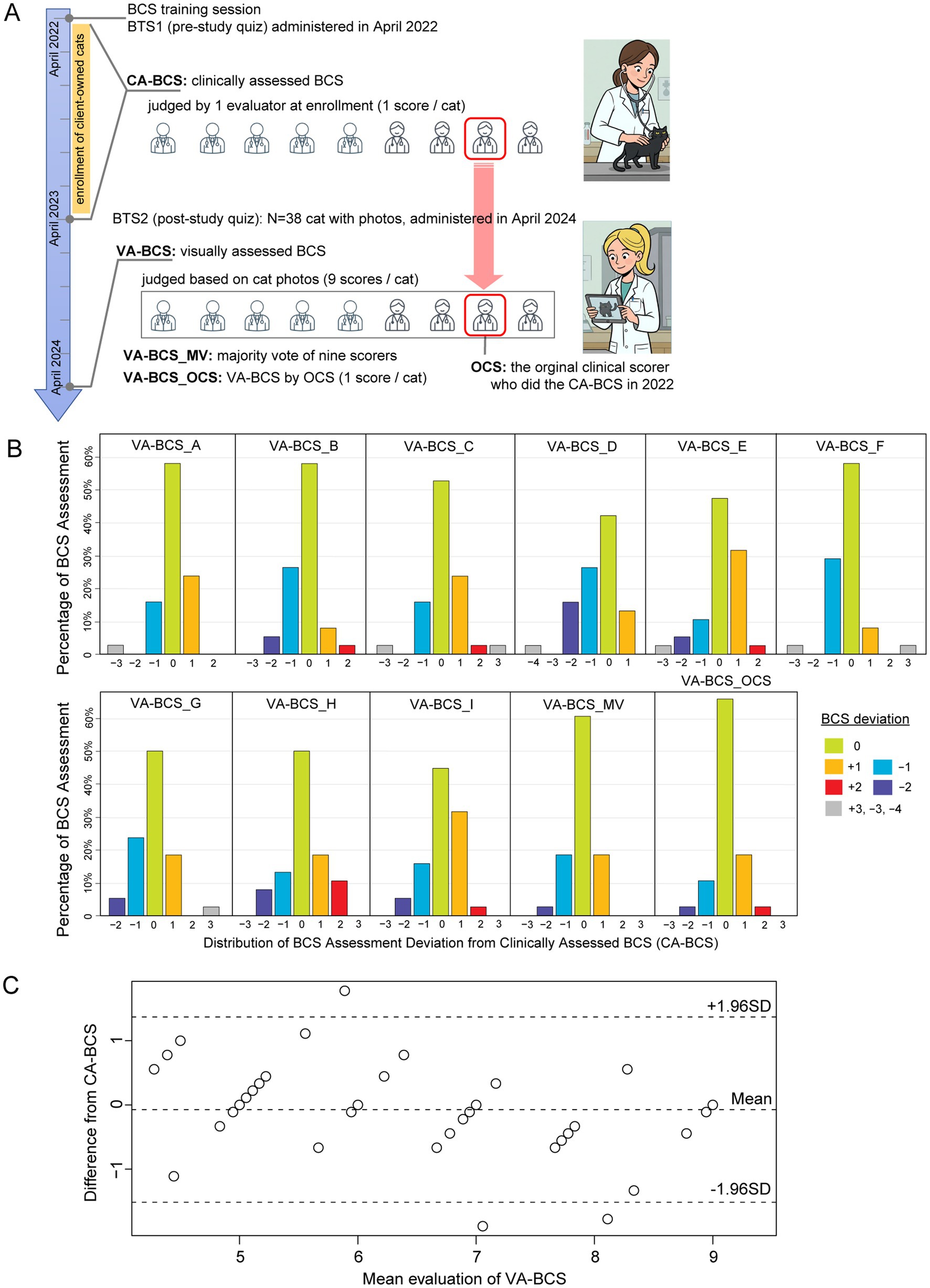 Diagram illustrating a study on Body Condition Score (BCS) assessments in cats. Part A shows a timeline from April 2022 to April 2024, detailing different assessment methods: clinical (CA-BCS) and visual (VA-BCS), with nine evaluators scoring photos. Part B presents bar charts comparing BCS assessment deviations across different evaluators and methods, with color-coded bars indicating deviation levels. Part C is a Bland-Altman plot showing the difference between clinical and visual BCS assessments relative to the mean evaluation.