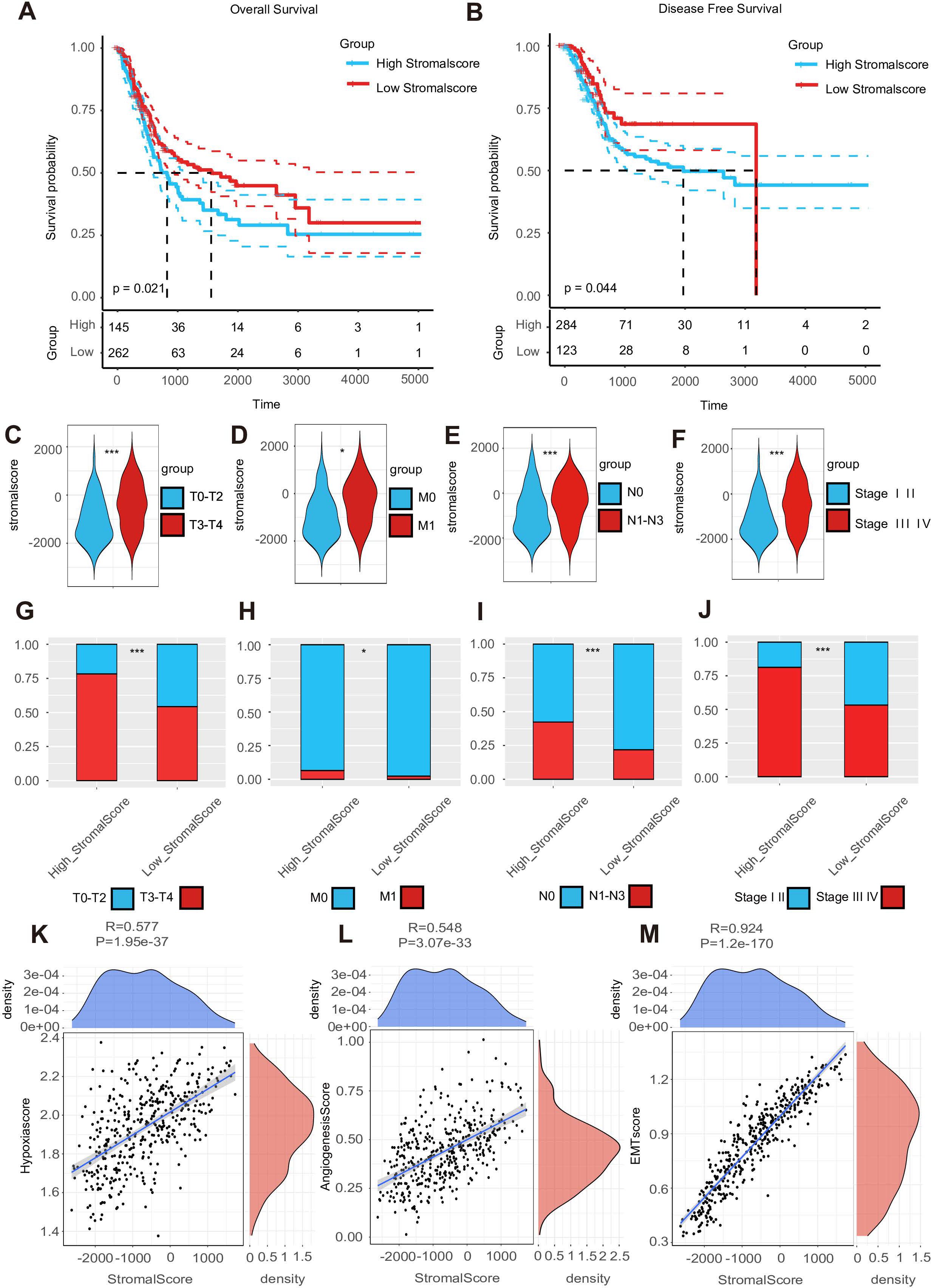 Kaplan-Meier survival plots and violin plots analyze stromal score impact on survival. Panels A and B compare overall and disease-free survival between high and low stromal score groups. Panels C-F show stromal score distributions across different clinical stages. Panels G-J present stacked bar charts correlating stromal scores with tumor stage and metastasis. Panels K-M depict scatterplots with densities, correlating stromal scores with hypoxia, angiogenesis, and EMT scores. Statistical significance is indicated with p-values and correlation coefficients for each analysis.