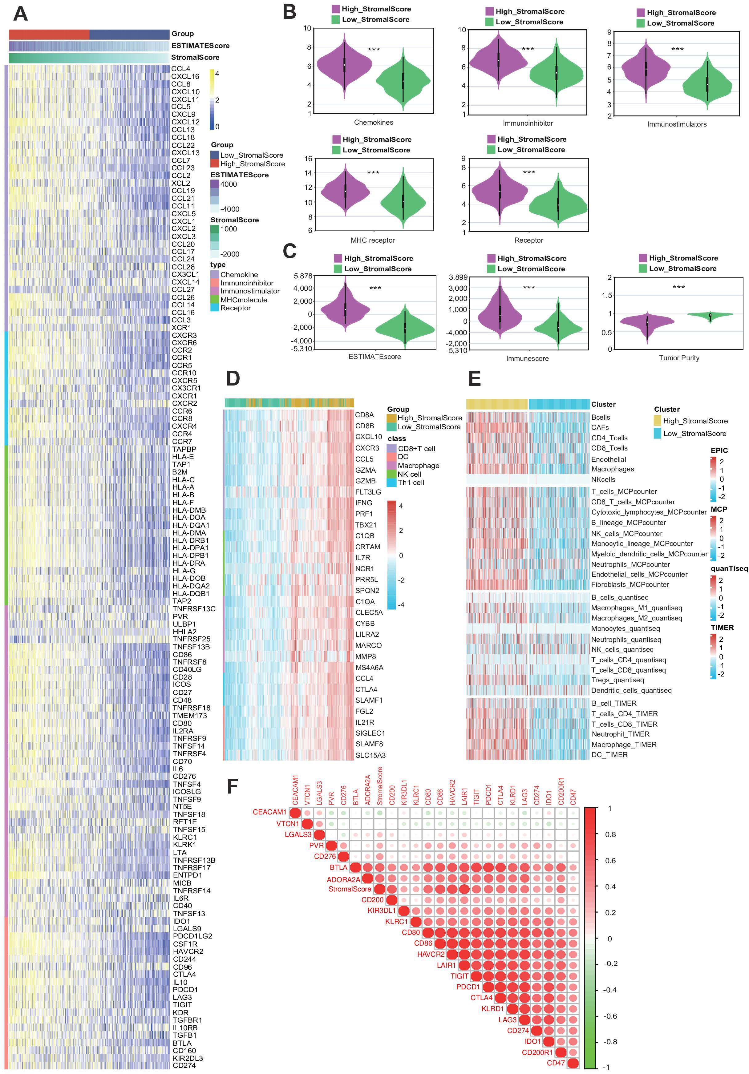 Six panels displaying various bioinformatics analyses: A. Heatmap showing gene expressions, with color-coded labels on the right including chemokines and other receptors. B. Six violin plots comparing high and low stromal scores across categories: chemokines, immunoinhibitors, immunostimulators, MHC receptors, ESTIMATE scores, and tumor purity. C. Additional violin plots comparing stromal scores for ESTIMATE and immune scores. D. Heatmap detailing gene expressions in different immune cell groups, labeled on the side. E. Heatmap depicting cell cluster expressions, categorized by stromal score, with several analysis methods referenced. F. Correlogram with correlation coefficients among immune checkpoint genes, highlighted in red.
