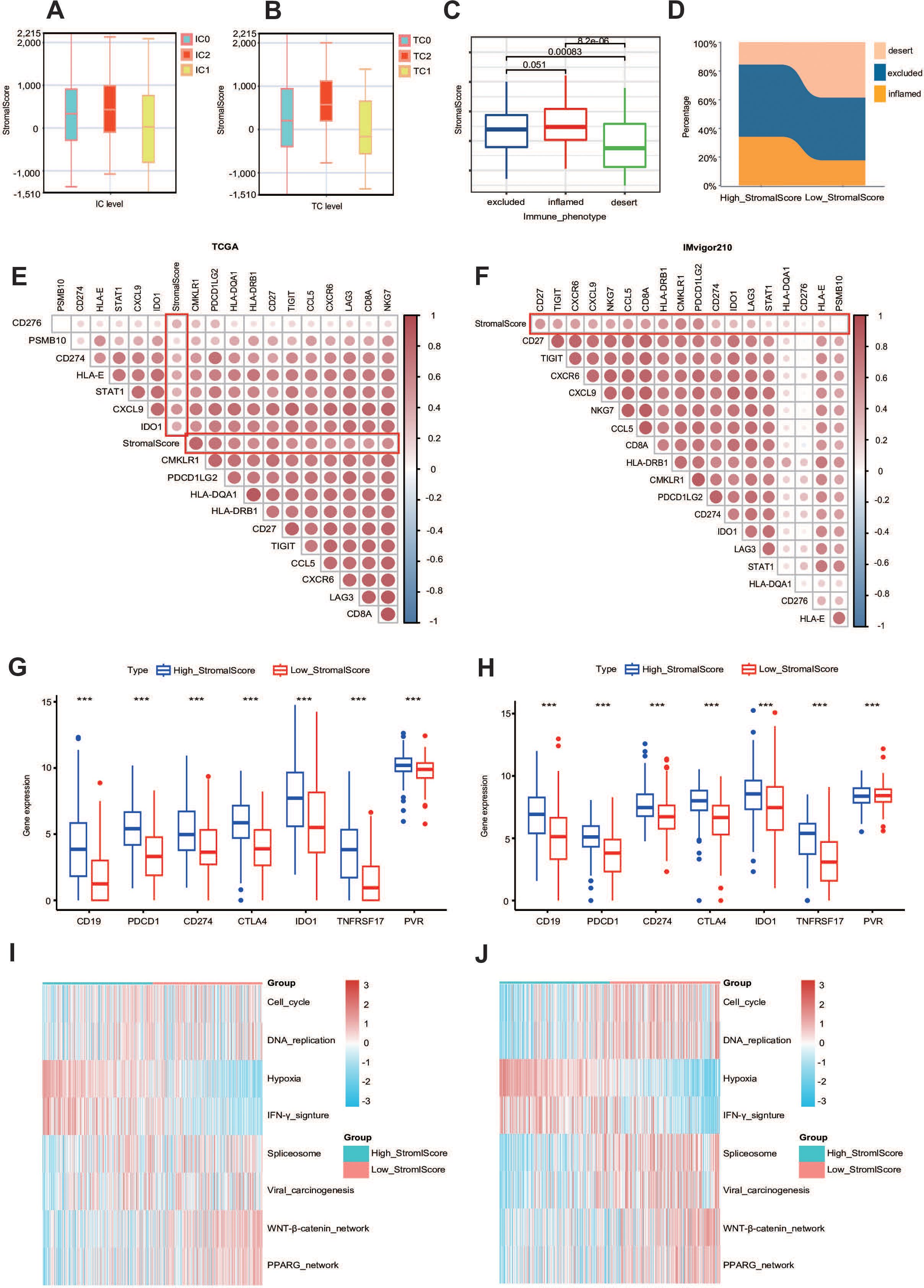 The image consists of multiple panels (A-J) displaying various data visualizations in a scientific context. Panels A and B are box plots showing StromaScore distributions across different immune cell levels. Panel C is a box plot comparing StromaScore across immune phenotypes. Panel D is a stacked area chart illustrating percentage distribution of immune phenotypes by StromaScore levels. Panels E and F are correlation heatmaps showing relationships between gene expressions and StromalScore. Panels G and H are box plots comparing gene expressions between high and low StromalScore groups. Panels I and J are heatmaps depicting gene expression patterns across various biological processes and StromalScore groups.