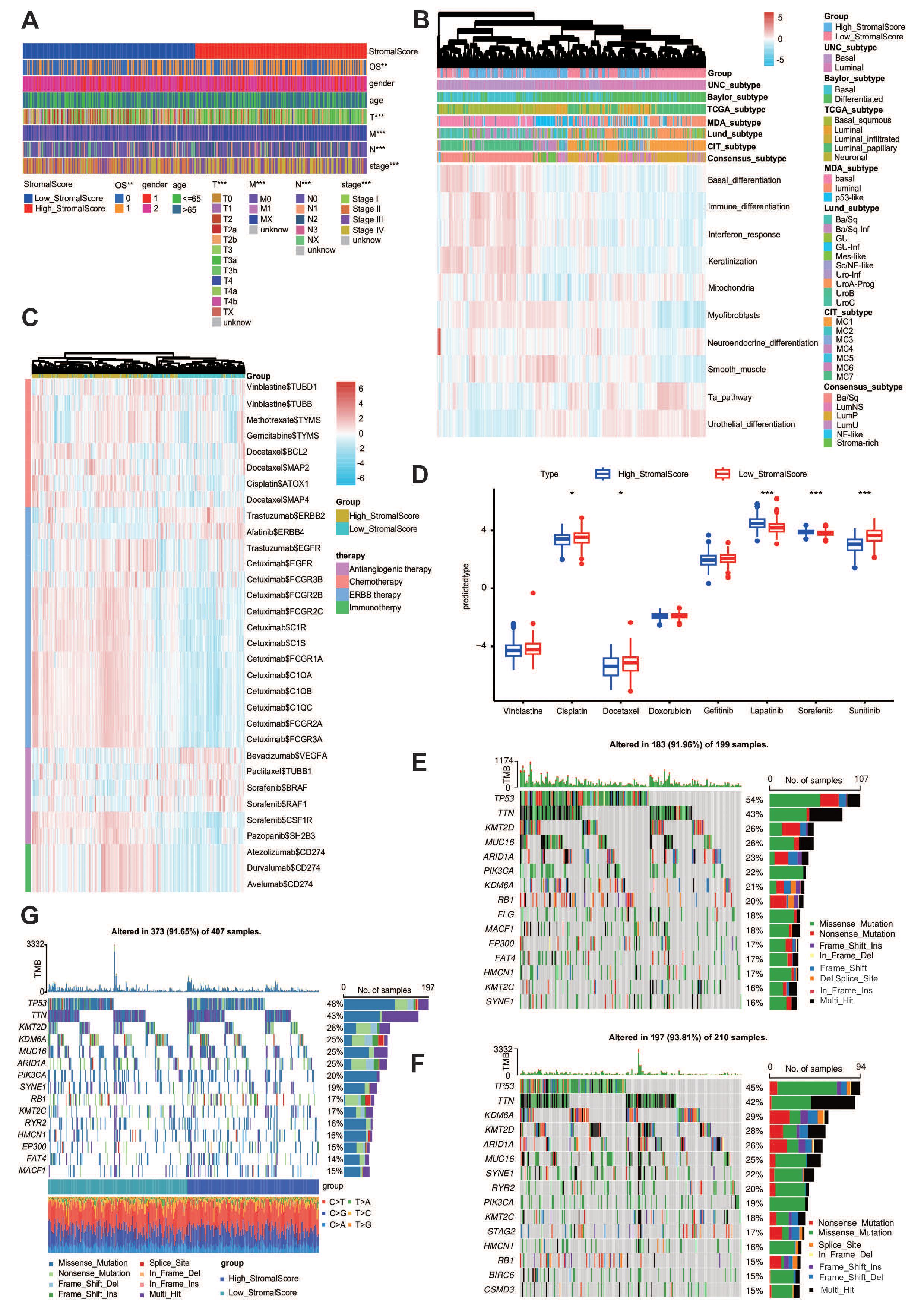 Composite image containing multiple heatmaps and graphs related to genomic data analysis. Panels A to F show color-coded heatmaps representing various scores and subtypes, with keys indicating categories like Stromal Score and cancer subtypes. Panel D includes box plots displaying data comparisons between high and low Stromal Scores across different therapies. Panels E, F, and G feature hierarchical mutation data with percentages of samples altered. Each section is labeled for clarity, showcasing complex data relationships across cancer study groups.