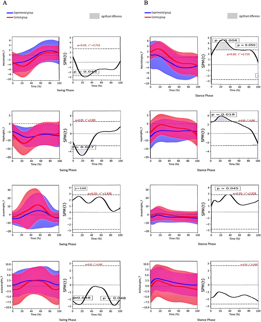 Graphs comparing the experimental and control groups' data during the swing and stance phases. Each column shows different gait metrics: mediolateral Y, hip abduction Y, knee angle Y, and ankle dorsiflexion Y. Shaded areas indicate significant differences, with statistical parametric maps (SPM) and p-values specified. Blue applies to the experimental group, red to the control group.