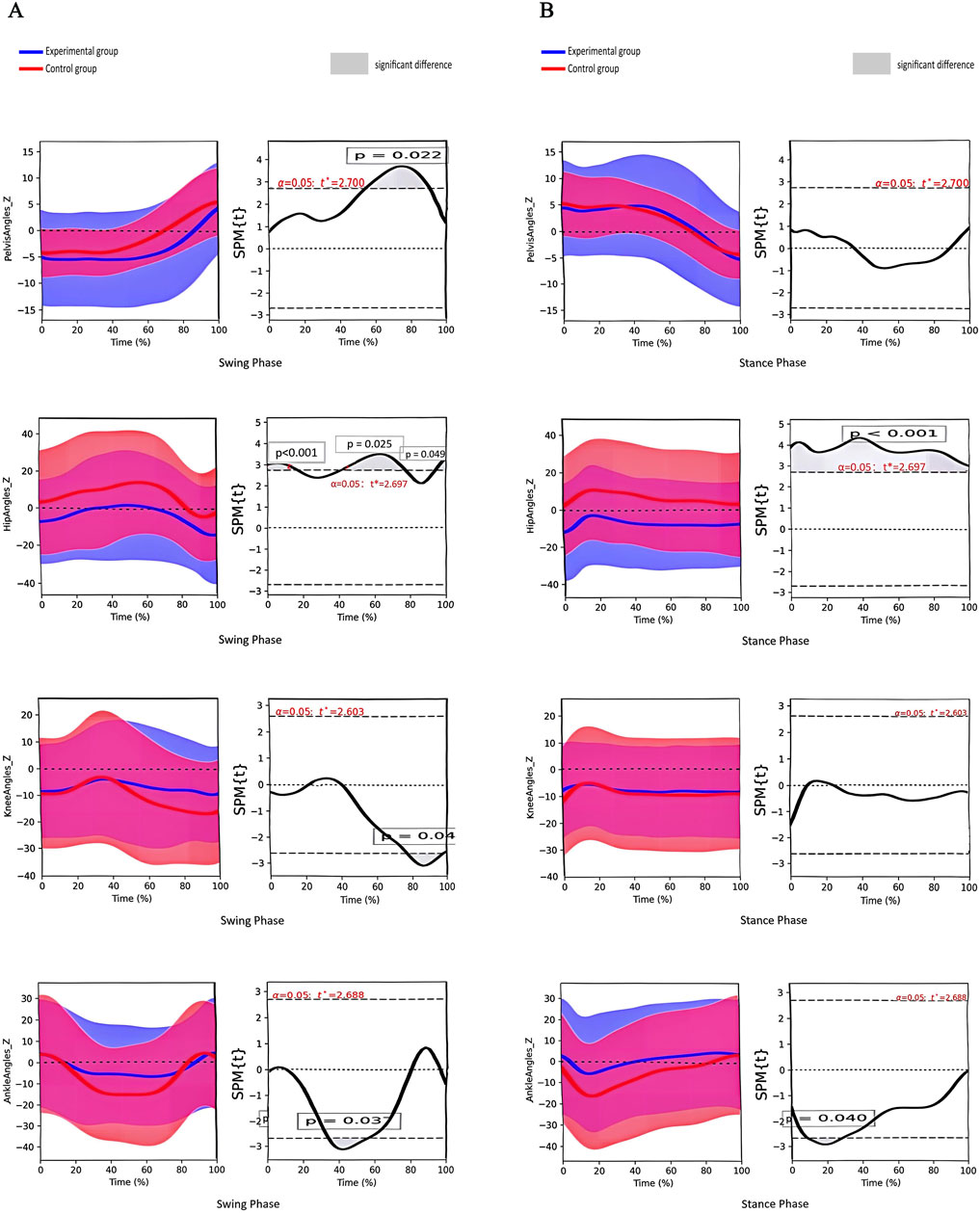 Graphs comparing experimental and control groups during swing and stance phases. In section A, paravert, hip, knee, and ankle angles for the swing phase are shown with significant differences highlighted. In section B, the same metrics are shown for the stance phase. Statistical differences are marked with P-values and threshold lines.