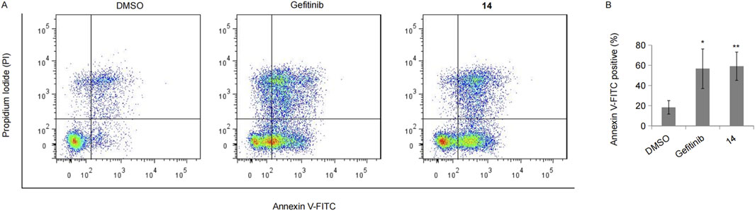 Flow cytometry scatter plots and a bar graph comparing DMSO, Gefitinib, and a compound labeled