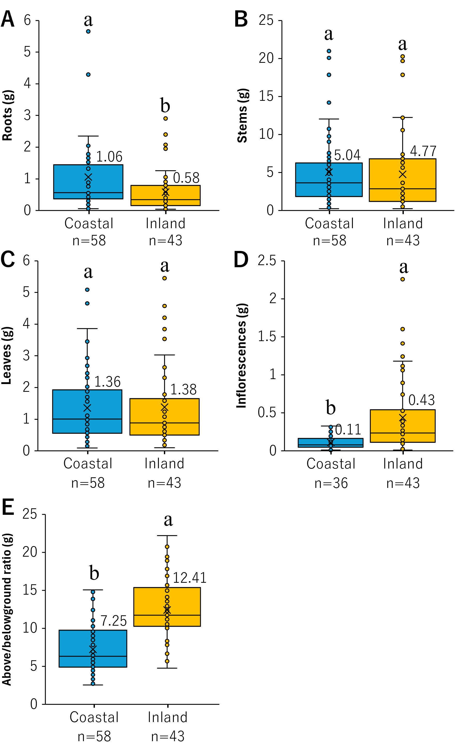 Box plots compare various plant part weights between coastal and inland areas. Panel A shows root weights, Panel B stems, Panel C leaves, Panel D inflorescences, and Panel E above/below ground ratios. Coastal samples are in blue and inland in yellow. Statistical differences are indicated by letters, with data points showing weight distributions.