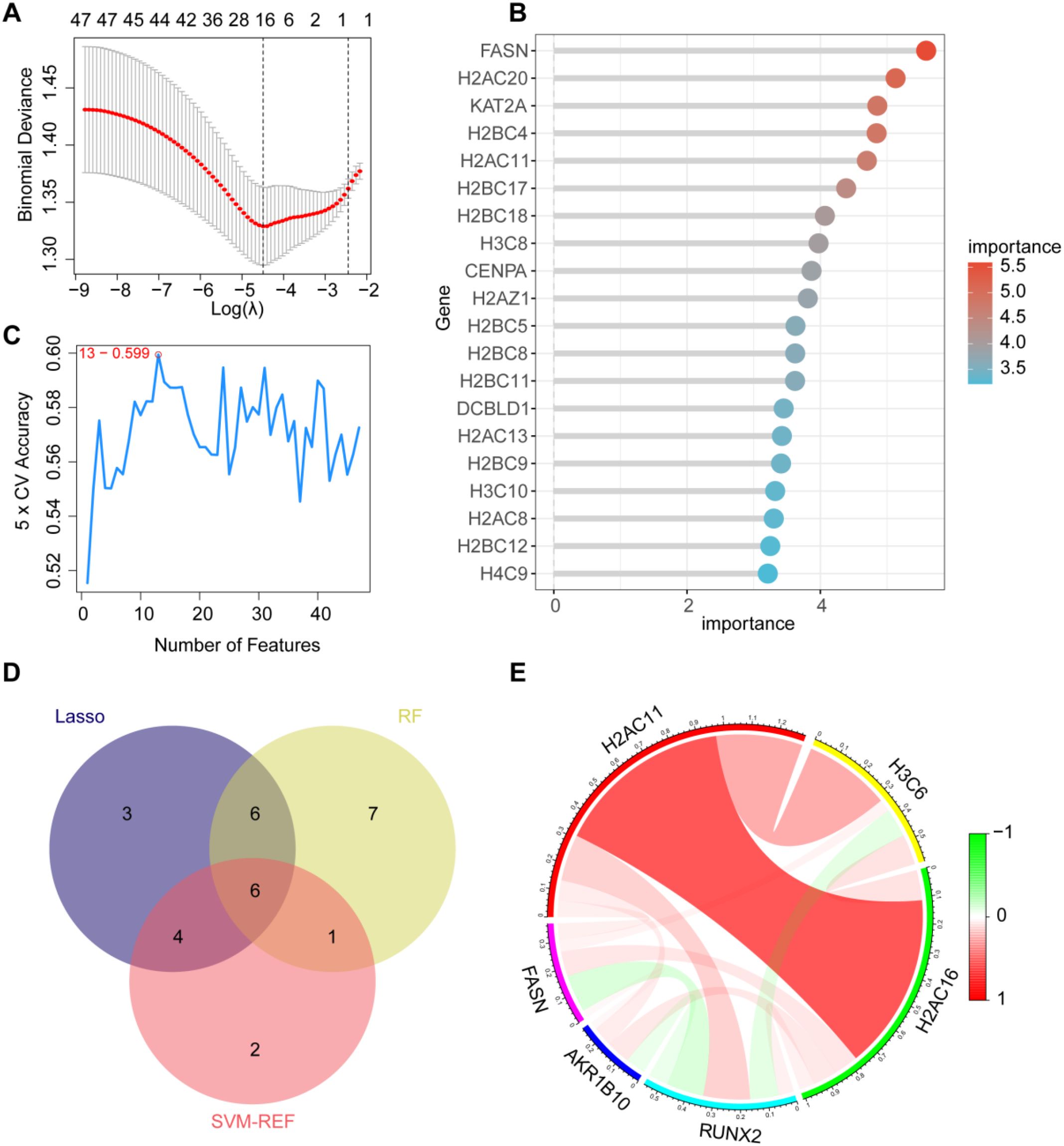 Graphical analysis of gene selection and importance. Panel A shows a plot of binomial deviance versus Log lambda for gene selection. Panel B displays a dot chart ranking gene importance, with FASN being the most important. Panel C illustrates a line graph of cross-validation accuracy against the number of features, displaying a peak at feature 13. Panel D features a Venn diagram comparing gene selection methods: Lasso, SVM-REF, and RF, with overlaps. Panel E presents a circular correlation diagram among genes, colored by correlation strength.