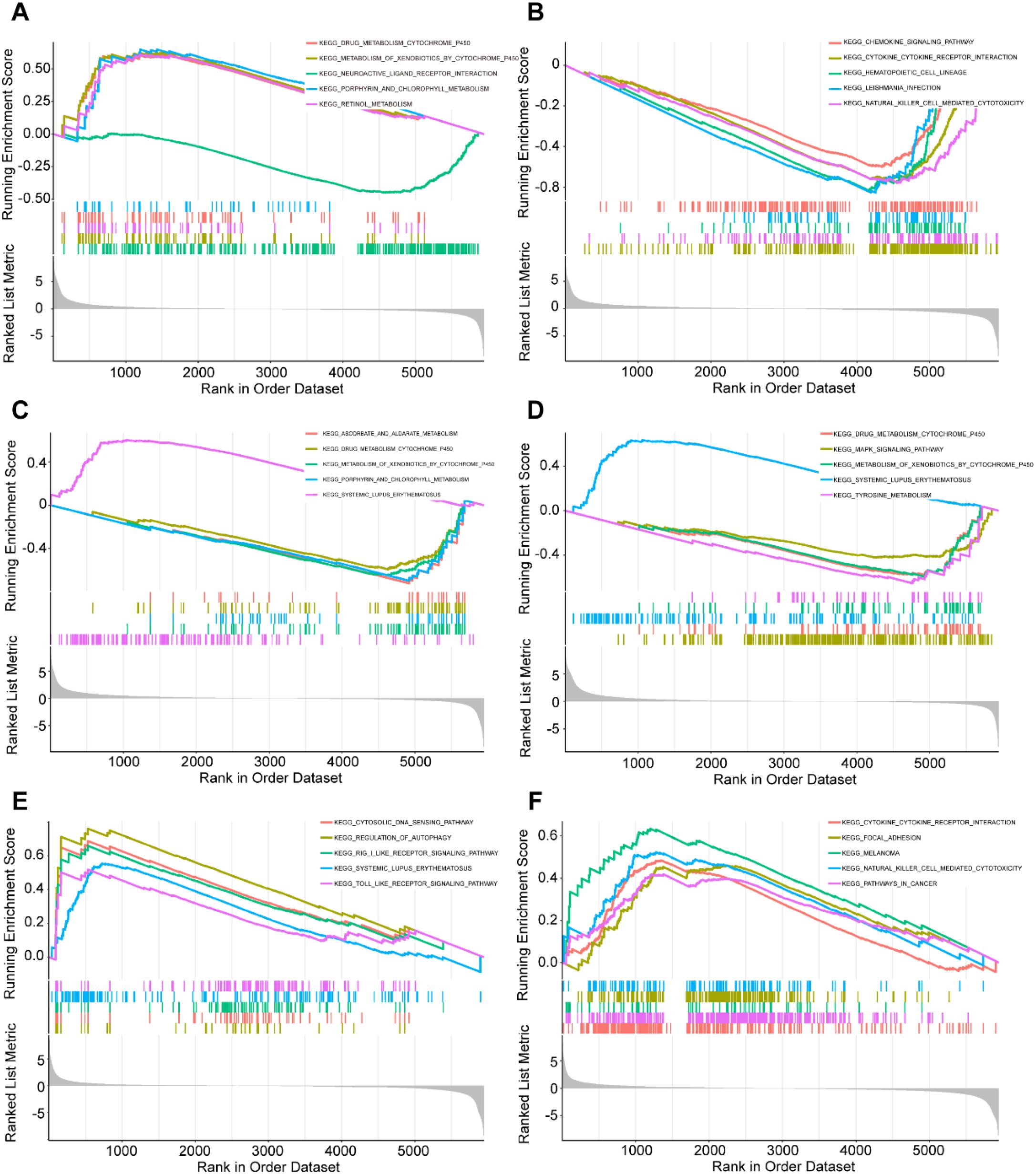 Six graphs labeled A to F show running enrichment scores for different KEGG pathways. Each graph plots the rank in order dataset on the x-axis against the running enrichment score on the y-axis. Colored lines represent various metabolic and signaling pathways, with ranked lists and metrics displayed below each chart.