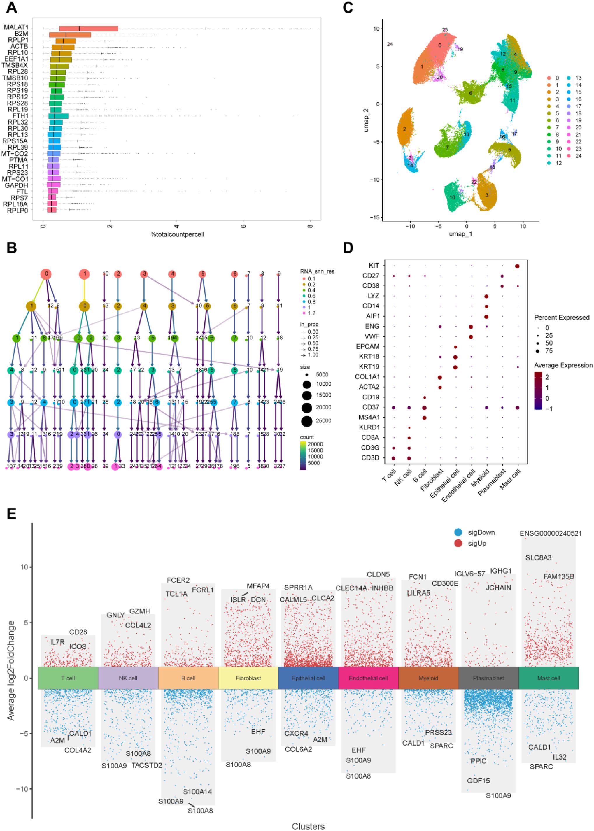 Figure (A) shows a bar graph of gene names with percentage counts per cell. (B) illustrates a network graph with nodes and connections representing RNA sequencing data. (C) presents a UMAP plot showing cluster distribution. (D) displays a dot plot indicating gene expression levels across different cell types. (E) depicts a clustered bar graph showing log2 fold changes for gene expression in different cell types, with labels for specific genes and indicators for significant up or down regulation.